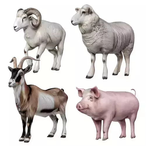 Farm Animals 2 3D model