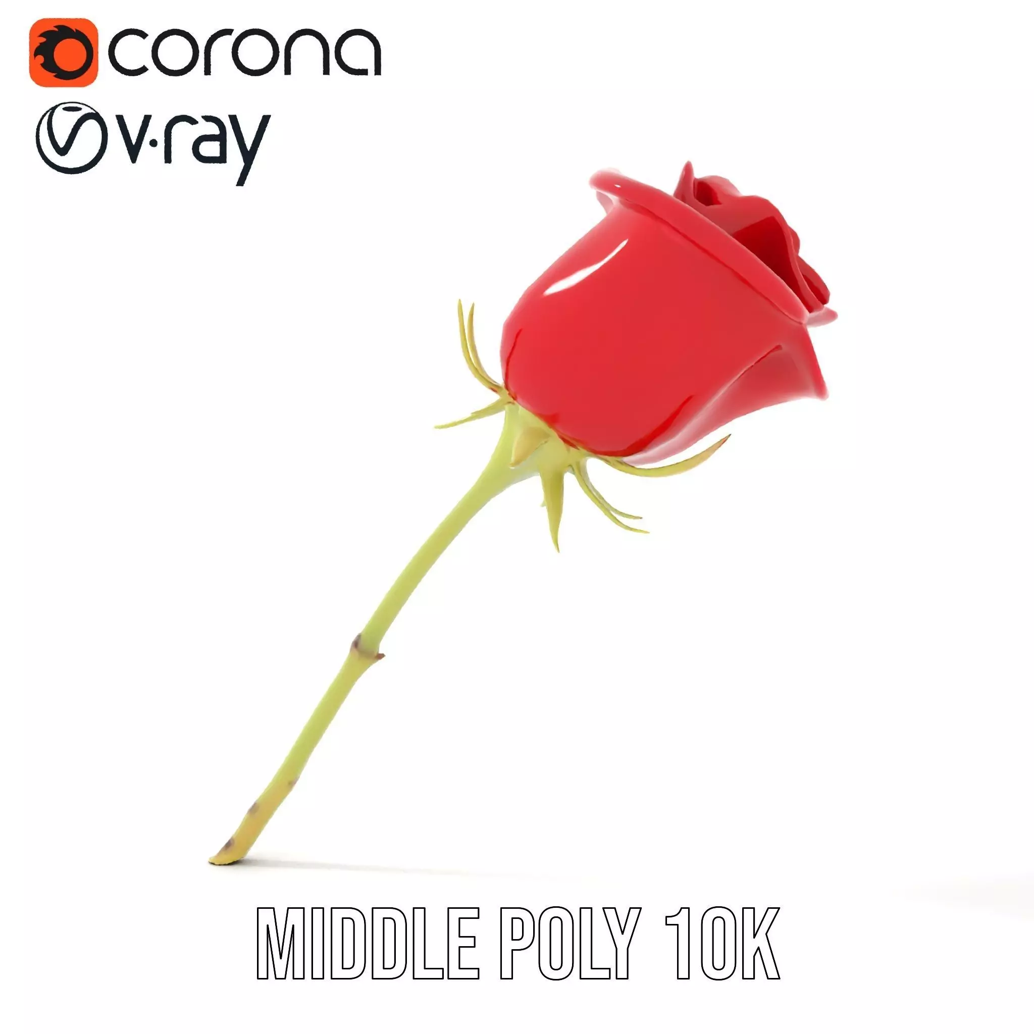 Red Rose Botanical model pack Low-poly 3D model_13