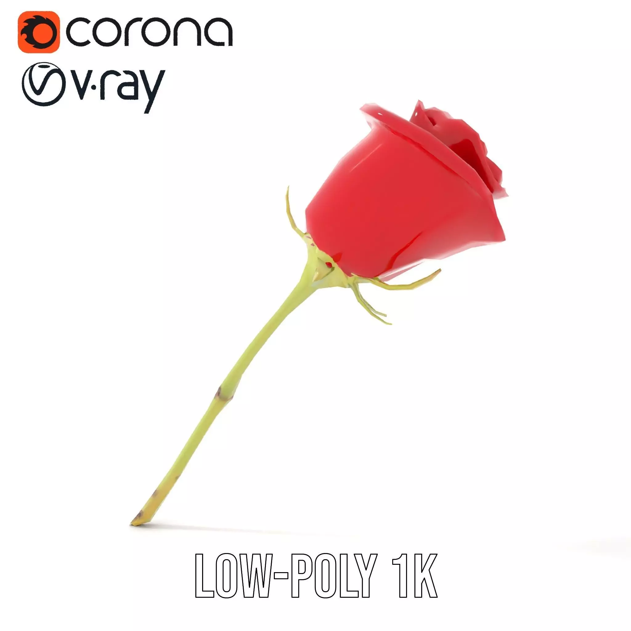 Red Rose Botanical model pack Low-poly 3D model_14
