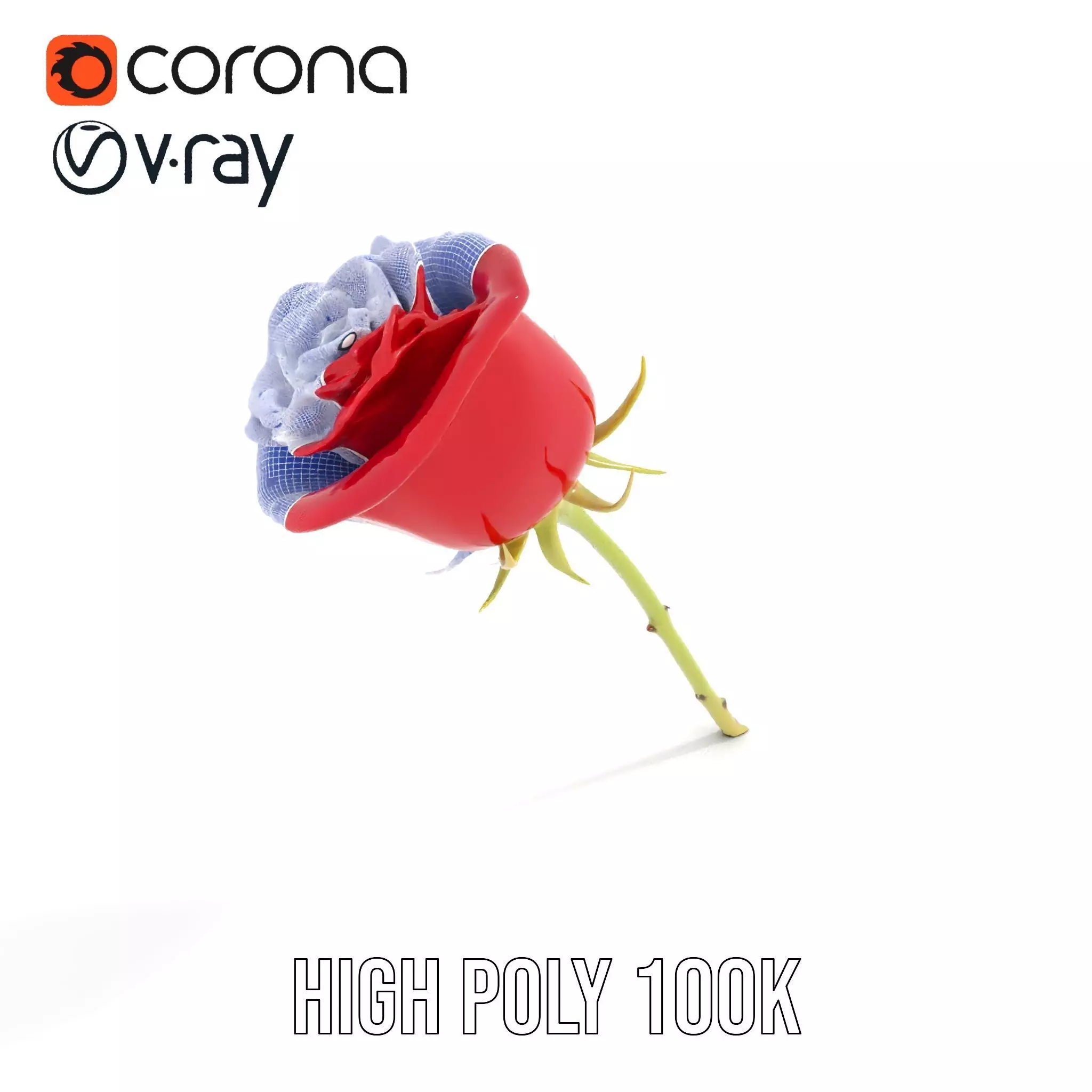 Red Rose Botanical model pack Low-poly 3D model_34