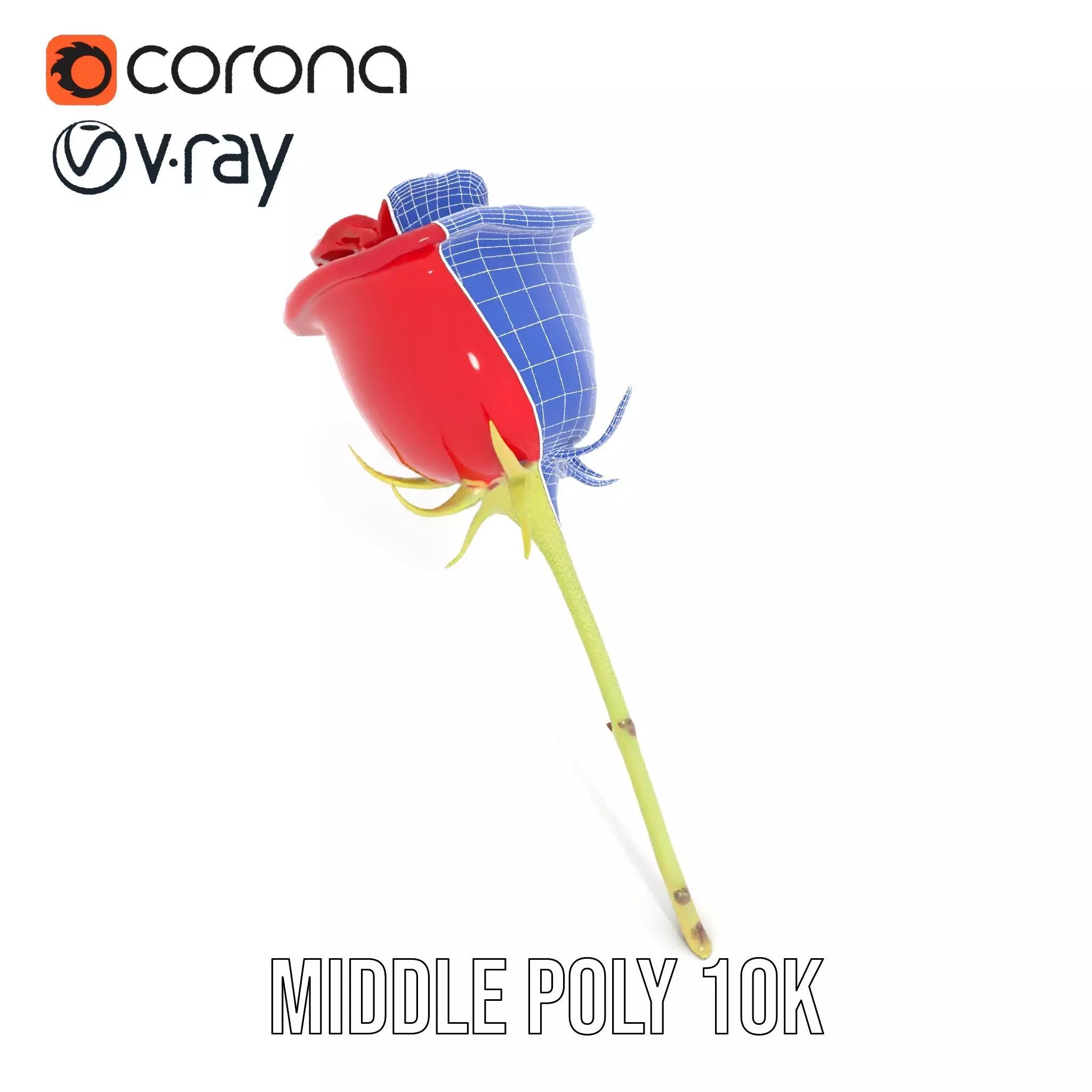 Red Rose Botanical model pack Low-poly 3D model_28