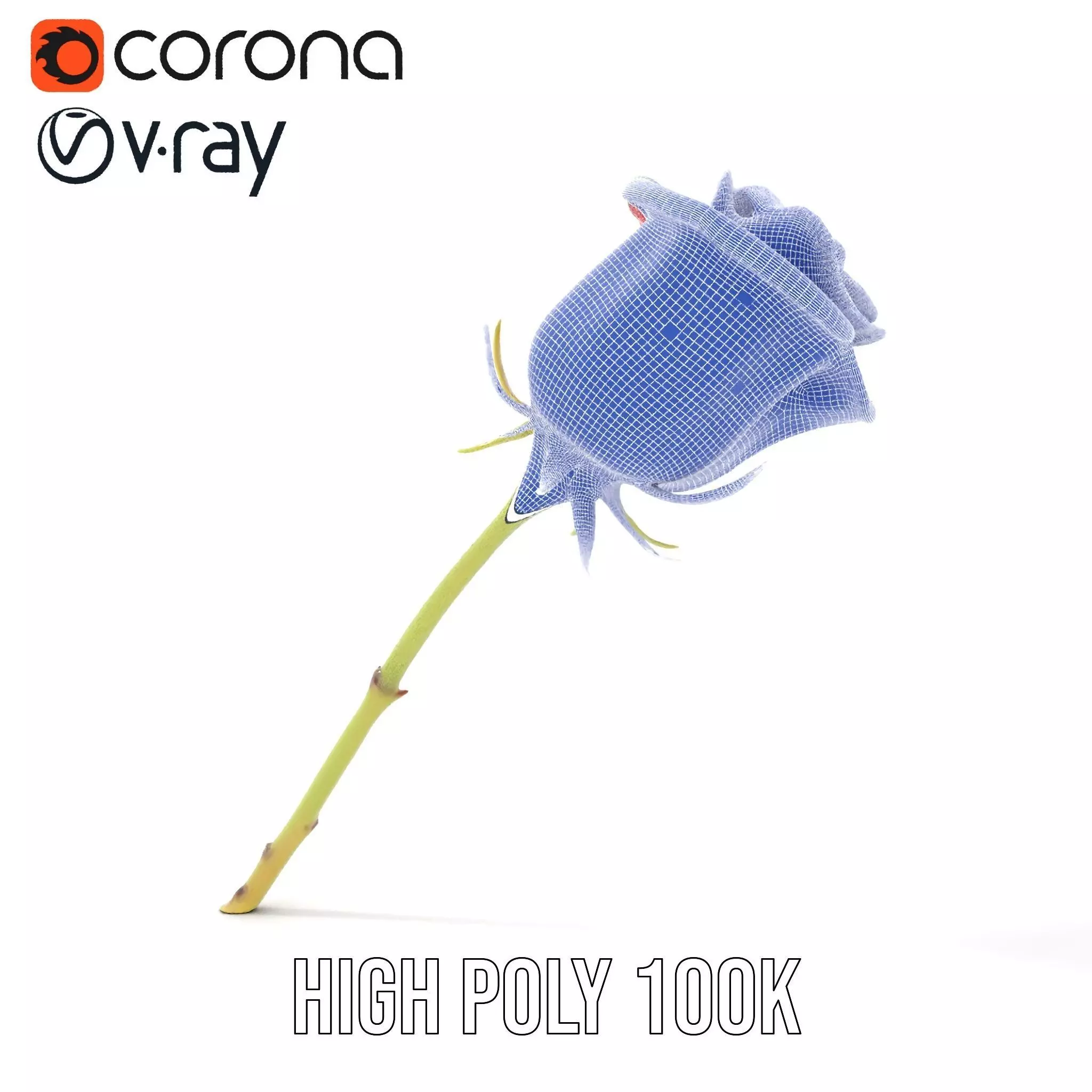 Red Rose Botanical model pack Low-poly 3D model_35