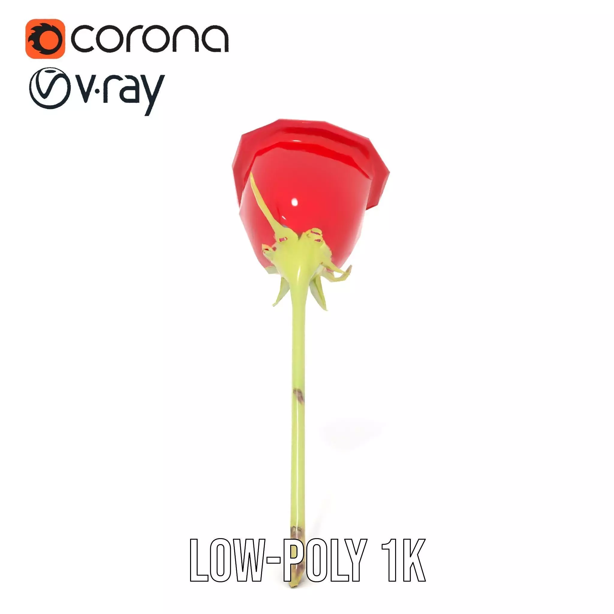 Red Rose Botanical model pack Low-poly 3D model_17