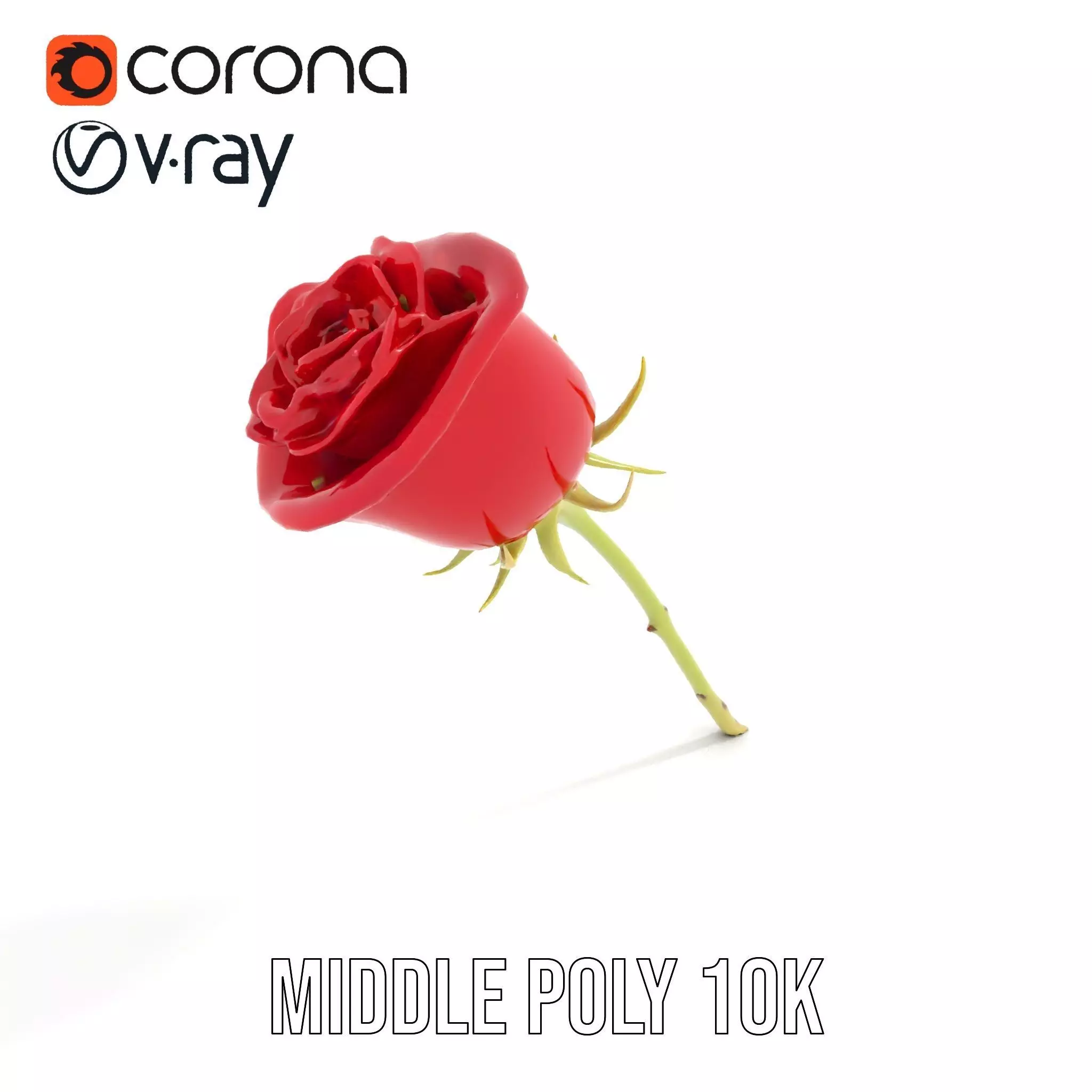 Red Rose Botanical model pack Low-poly 3D model_16