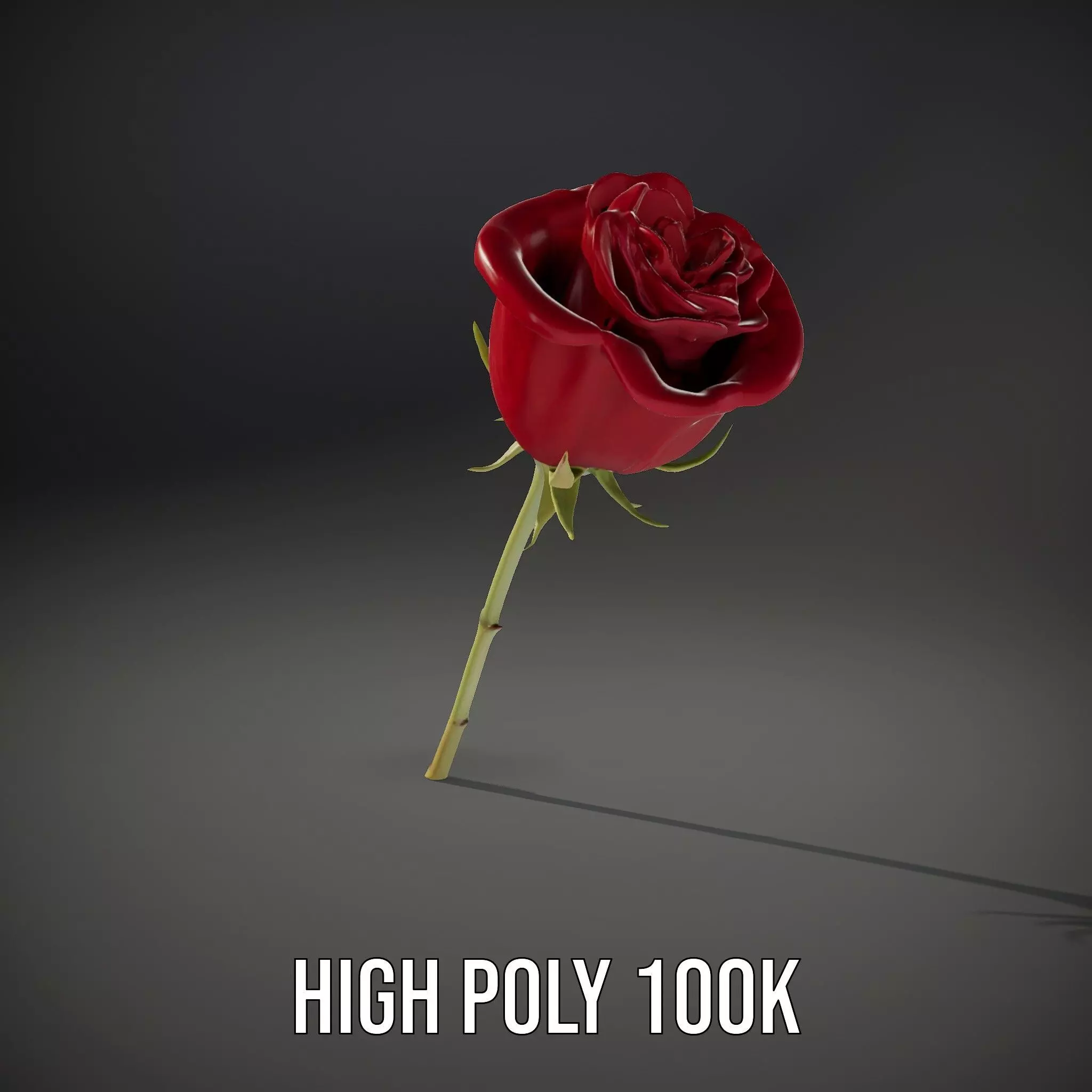 Red Rose Botanical model pack Low-poly 3D model_21