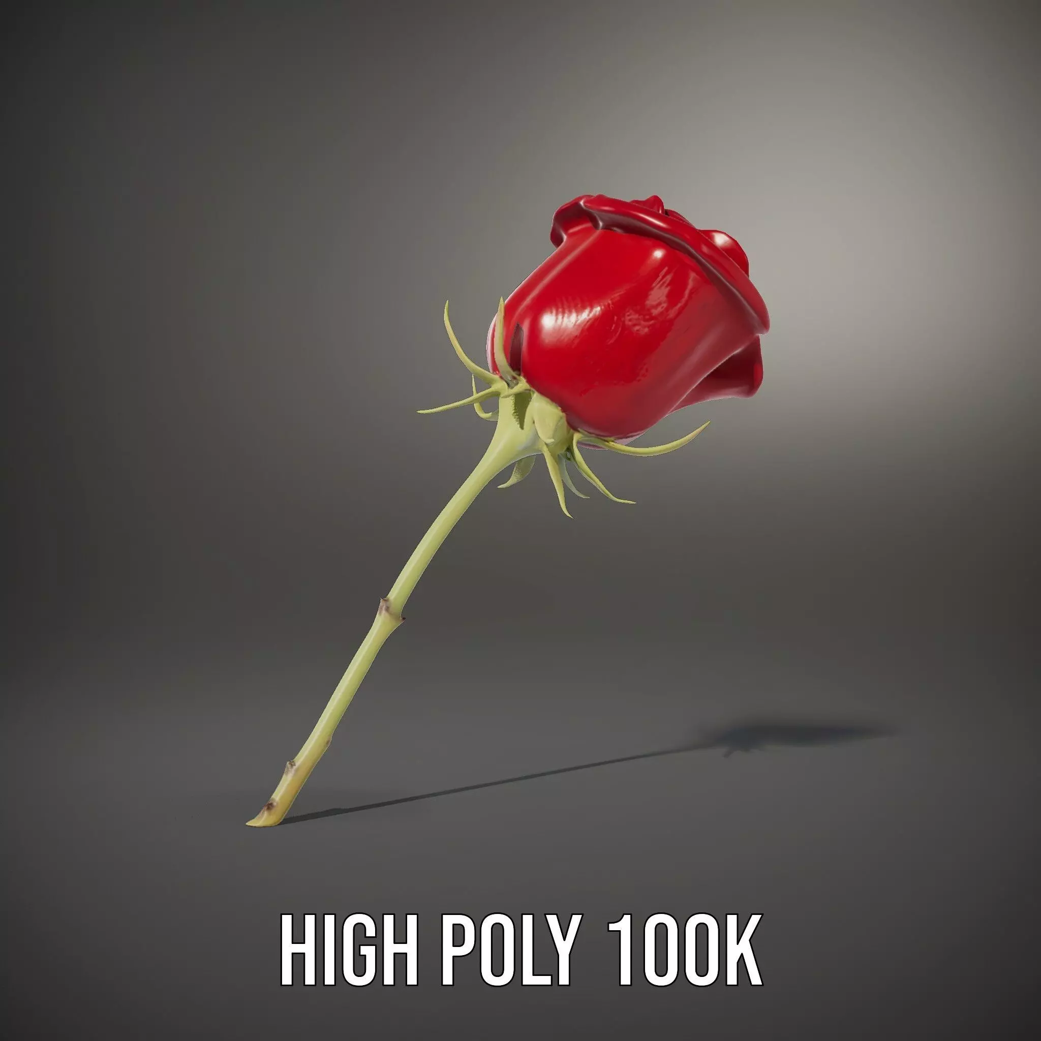 Red Rose Botanical model pack Low-poly 3D model_27