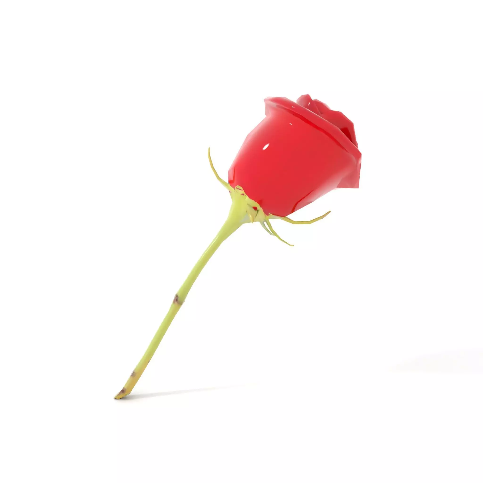 Red Rose Botanical model pack Low-poly 3D model_26