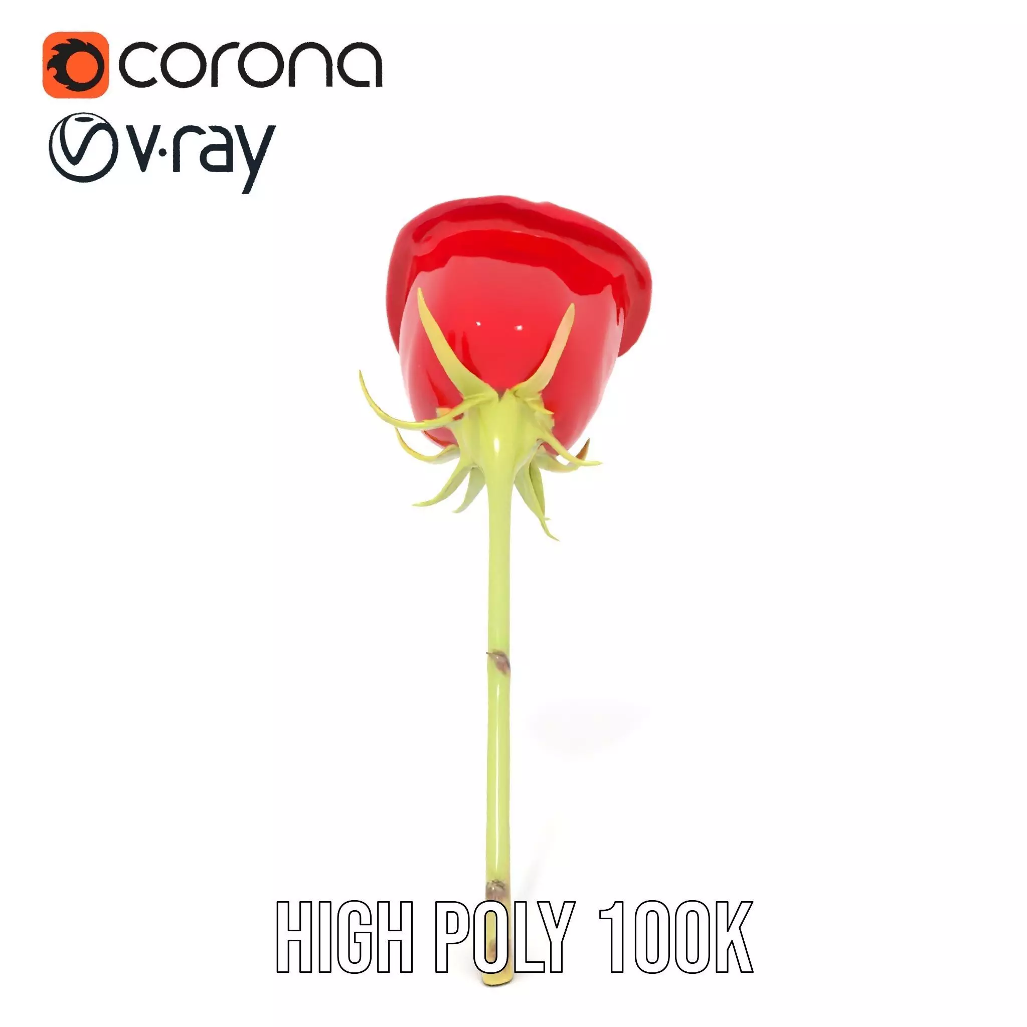 Red Rose Botanical model pack Low-poly 3D model_24