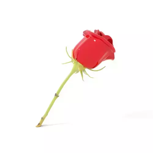 Red Rose Botanical model pack Low-poly 3D model