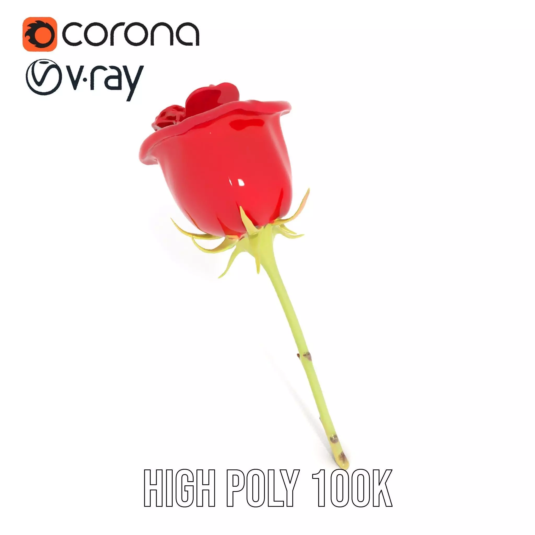 Red Rose Botanical model pack Low-poly 3D model_15