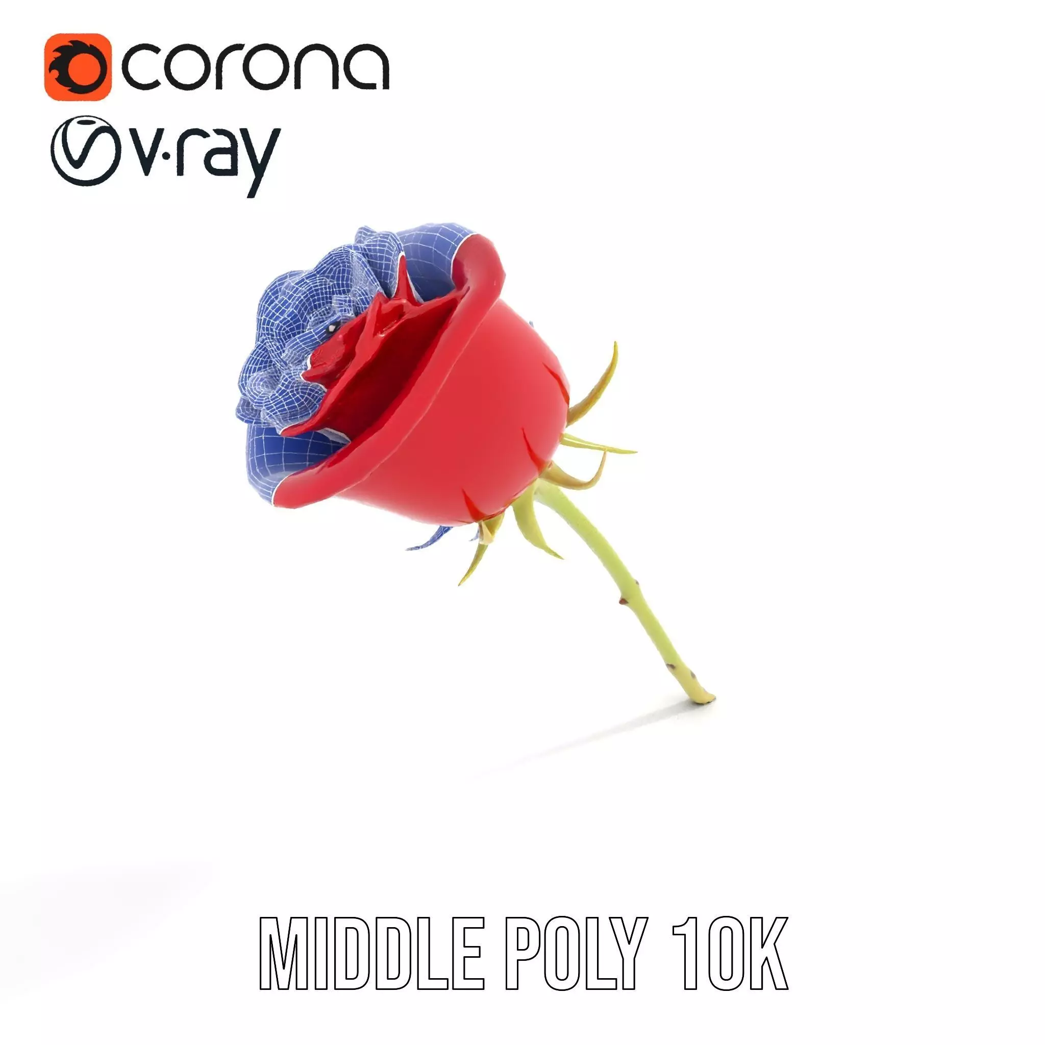 Red Rose Botanical model pack Low-poly 3D model_30