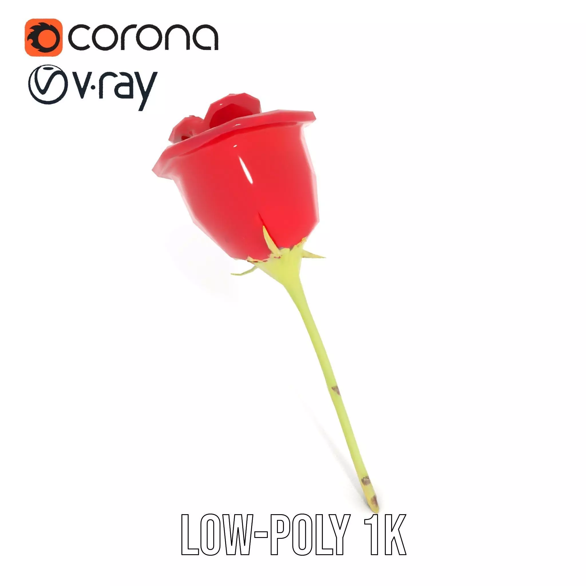 Red Rose Botanical model pack Low-poly 3D model_12