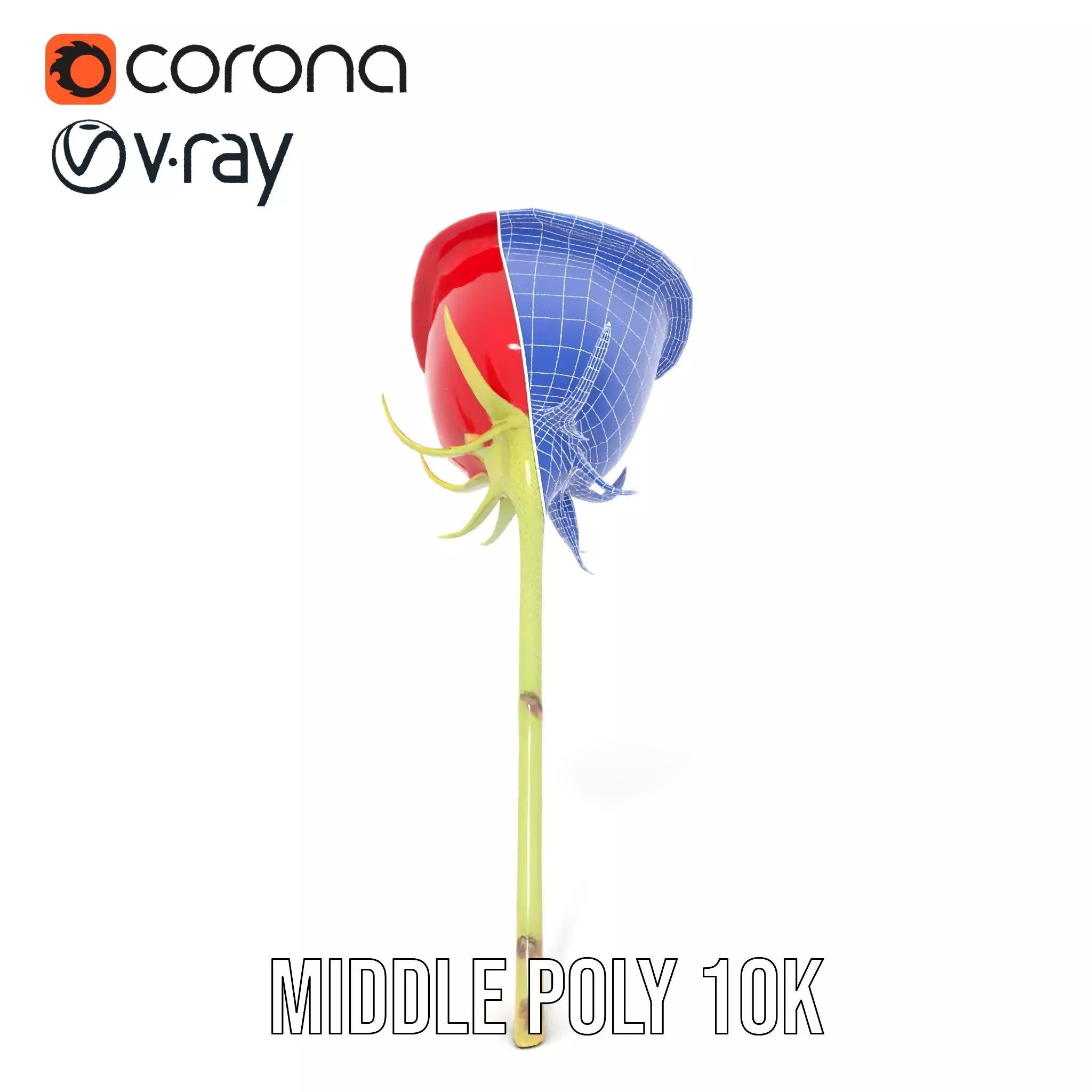 Red Rose Botanical model pack Low-poly 3D model_19