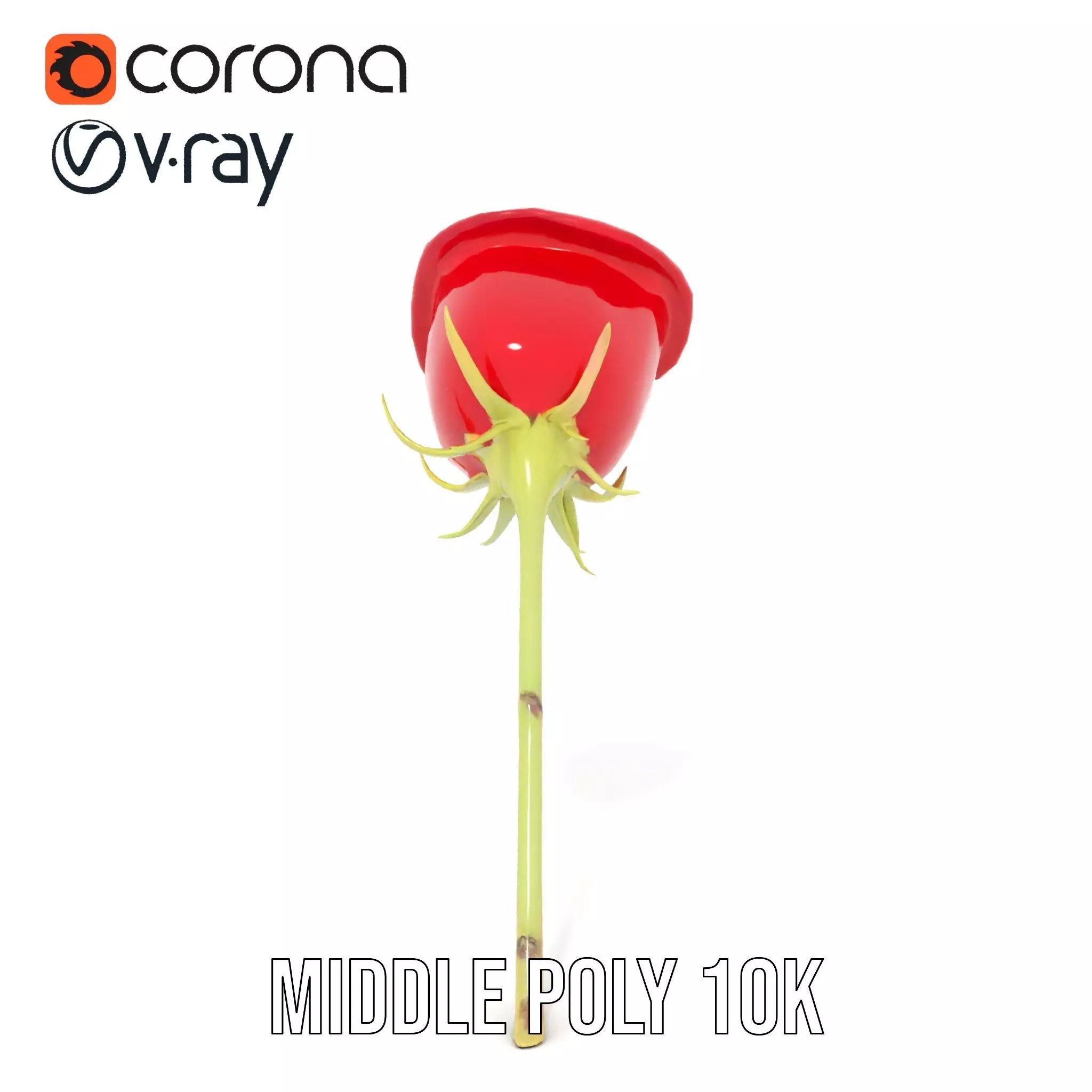 Red Rose Botanical model pack Low-poly 3D model_11