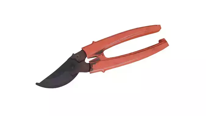 Pruning shears 02