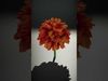 Vibrant Orange Flower model pack Low-poly 3D model_2