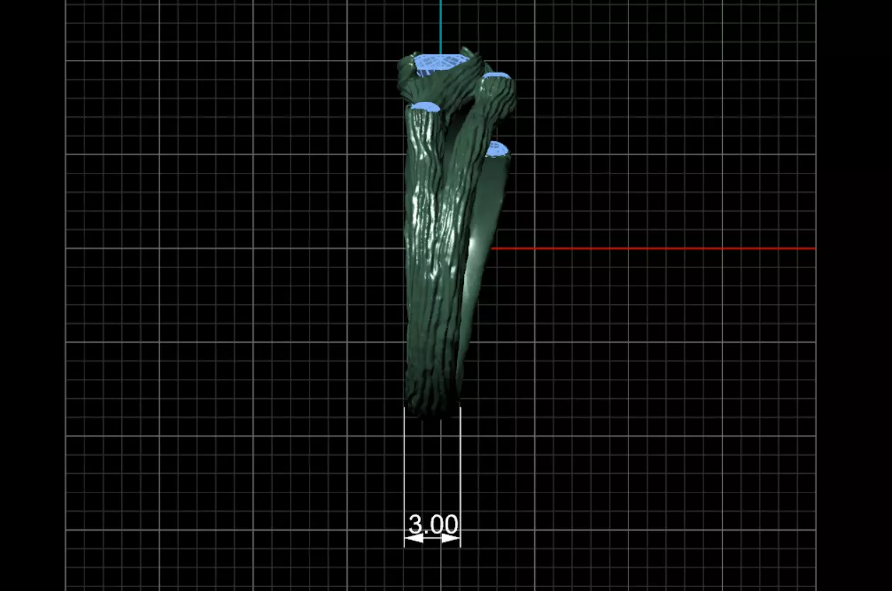 Ring Kochut 3D print model_9