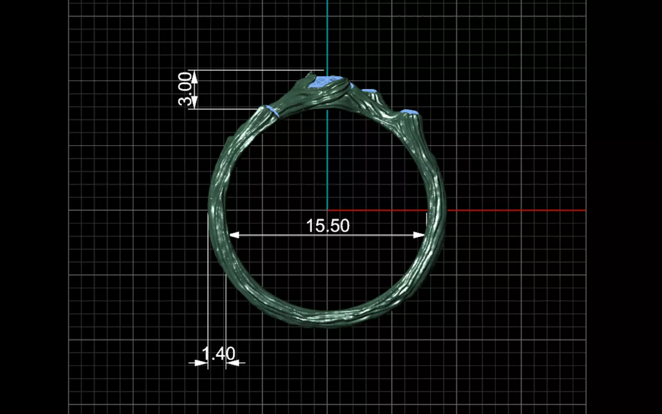 Ring Kochut 3D print model_8