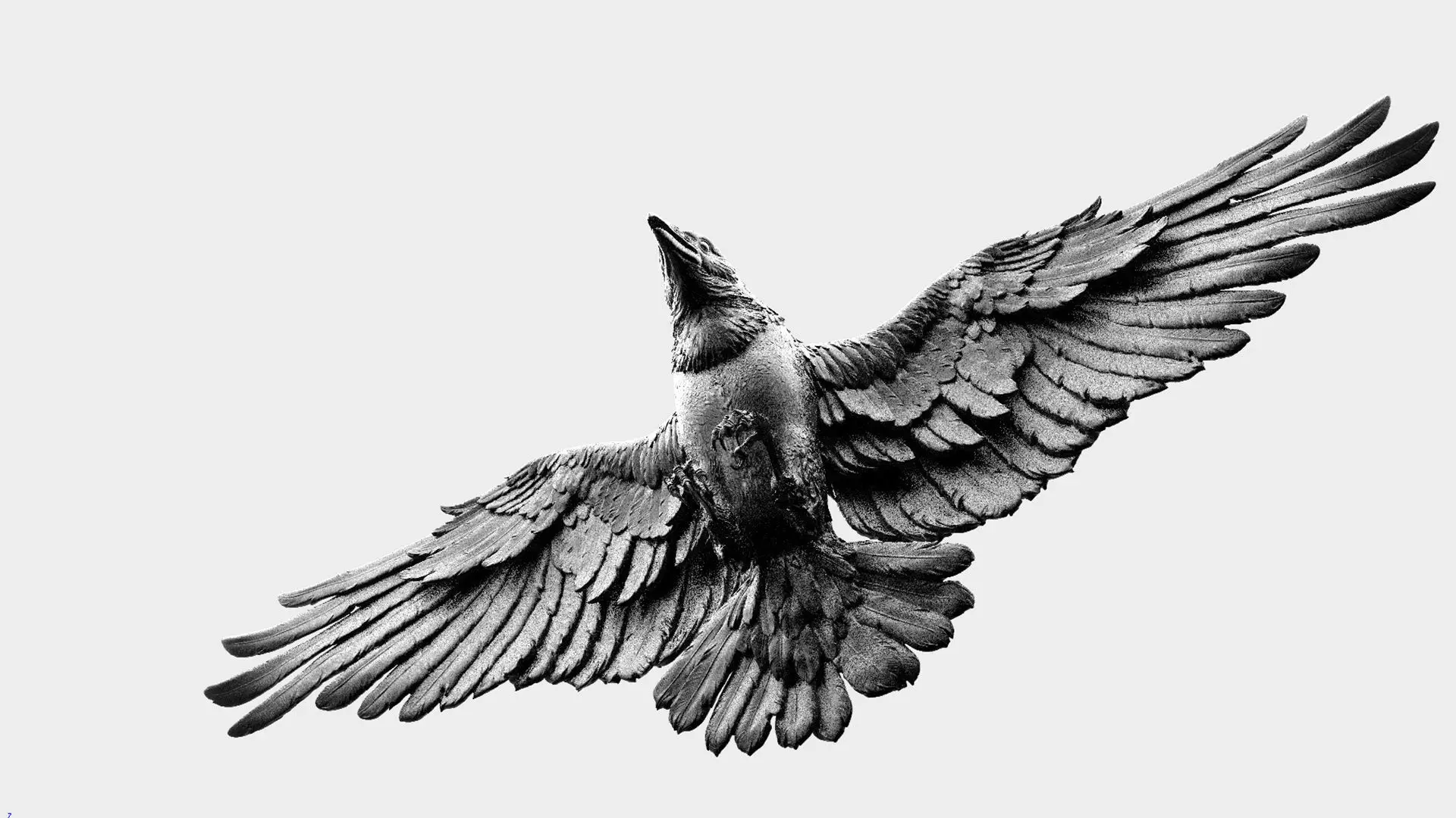 Crow Fly - 3D Sculpting 3D print model_22