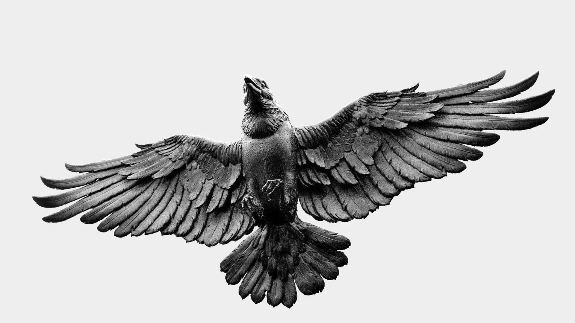 Crow Fly - 3D Sculpting 3D print model_21