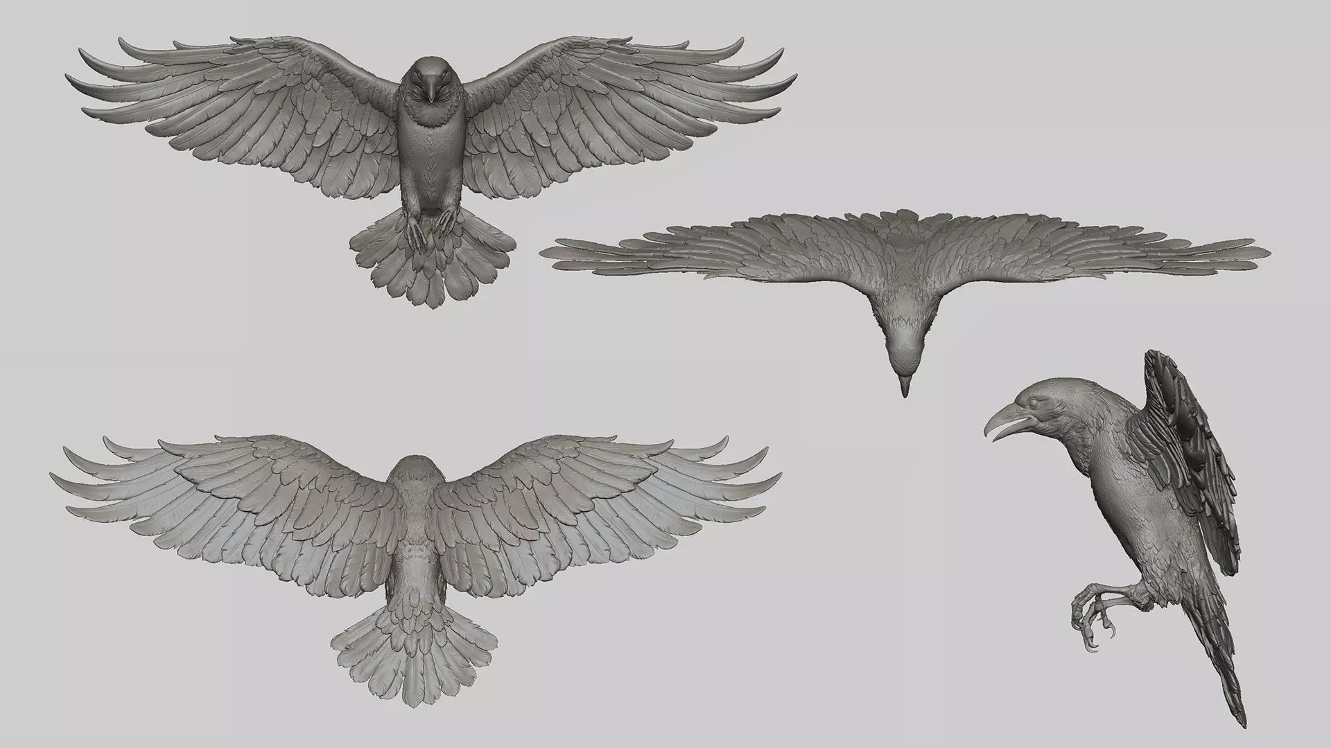 Crow Fly - 3D Sculpting 3D print model_4