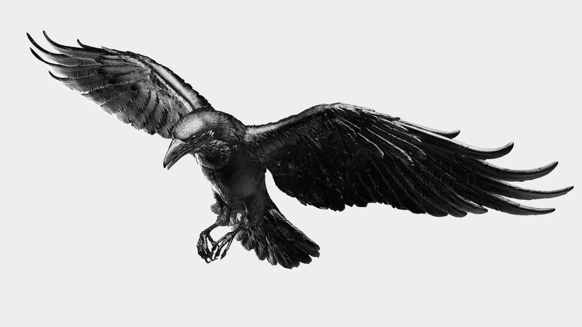 Crow Fly - 3D Sculpting 3D print model_24