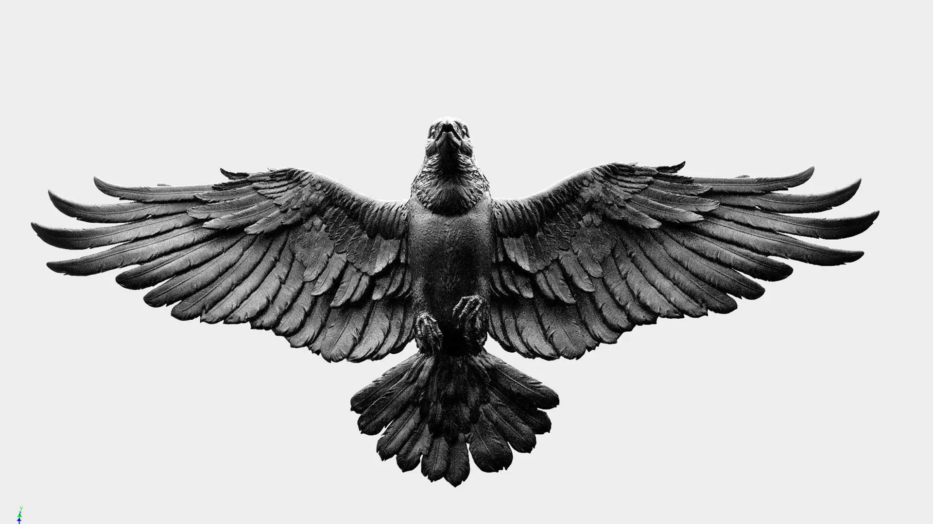 Crow Fly - 3D Sculpting 3D print model_20