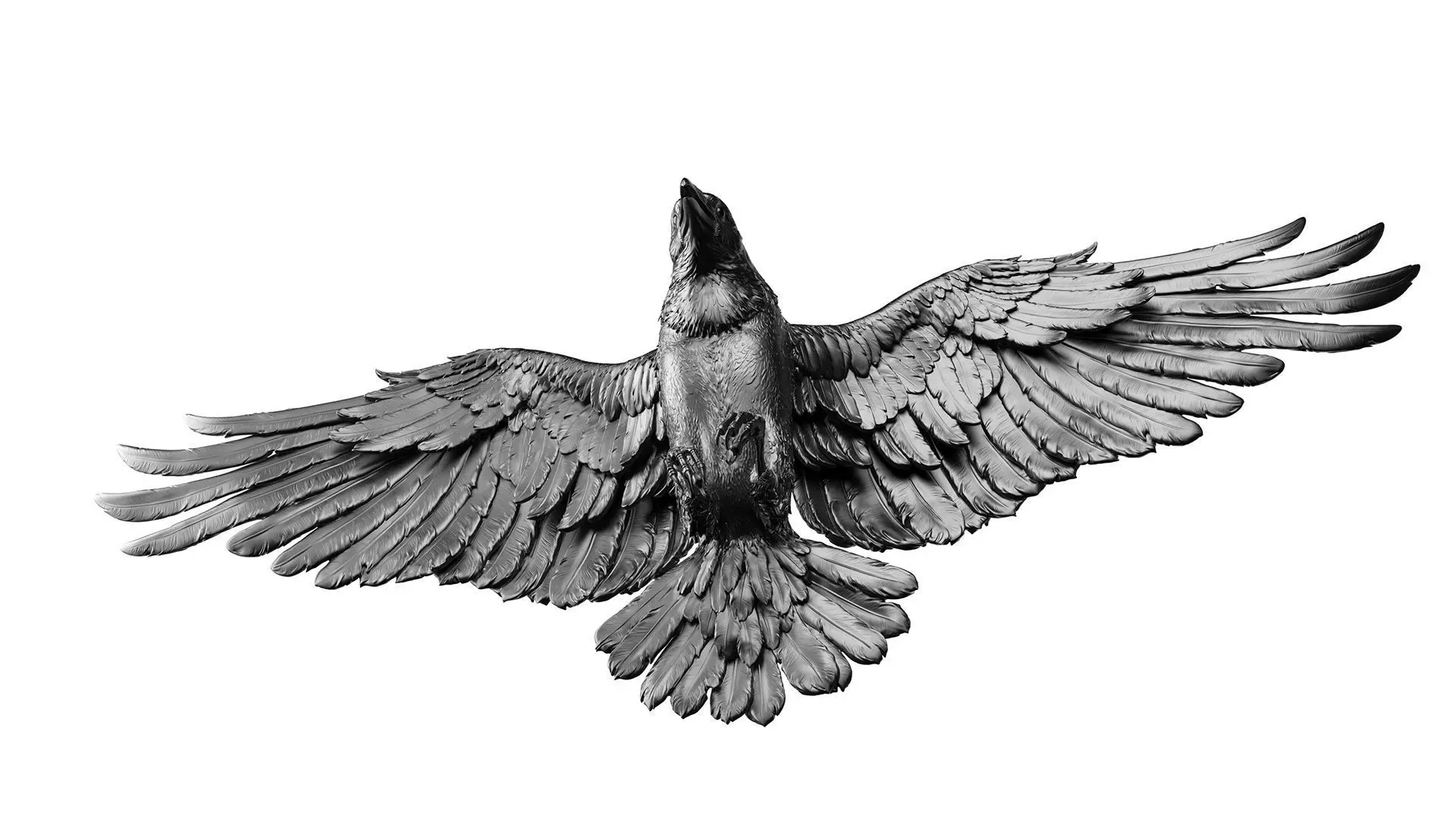 Crow Fly - 3D Sculpting 3D print model_25