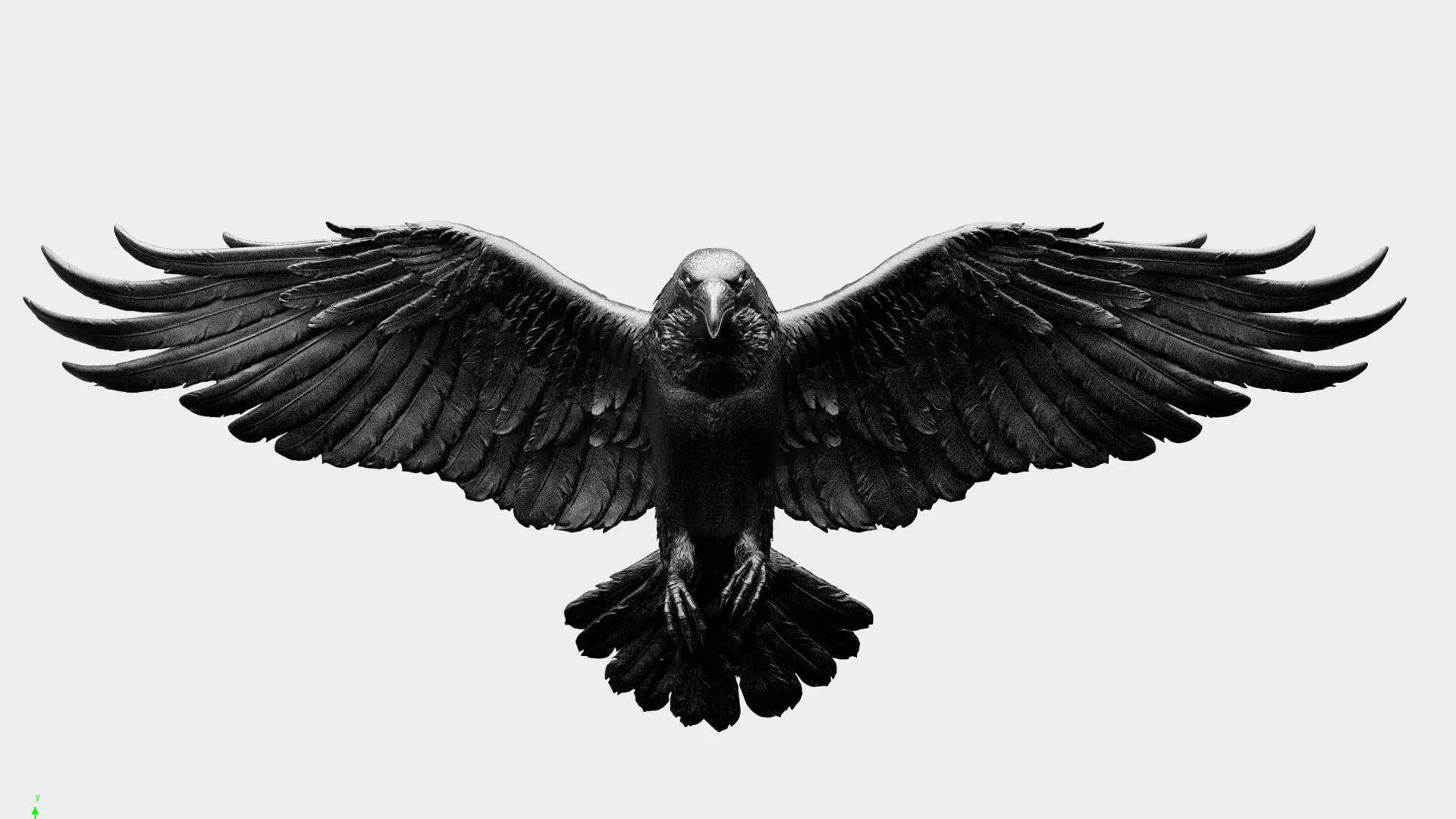 Crow Fly - 3D Sculpting 3D print model_3