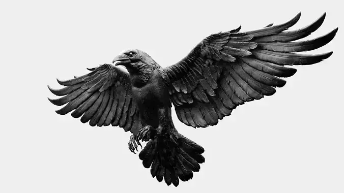 Crow Fly  02 - 3D Sculpting