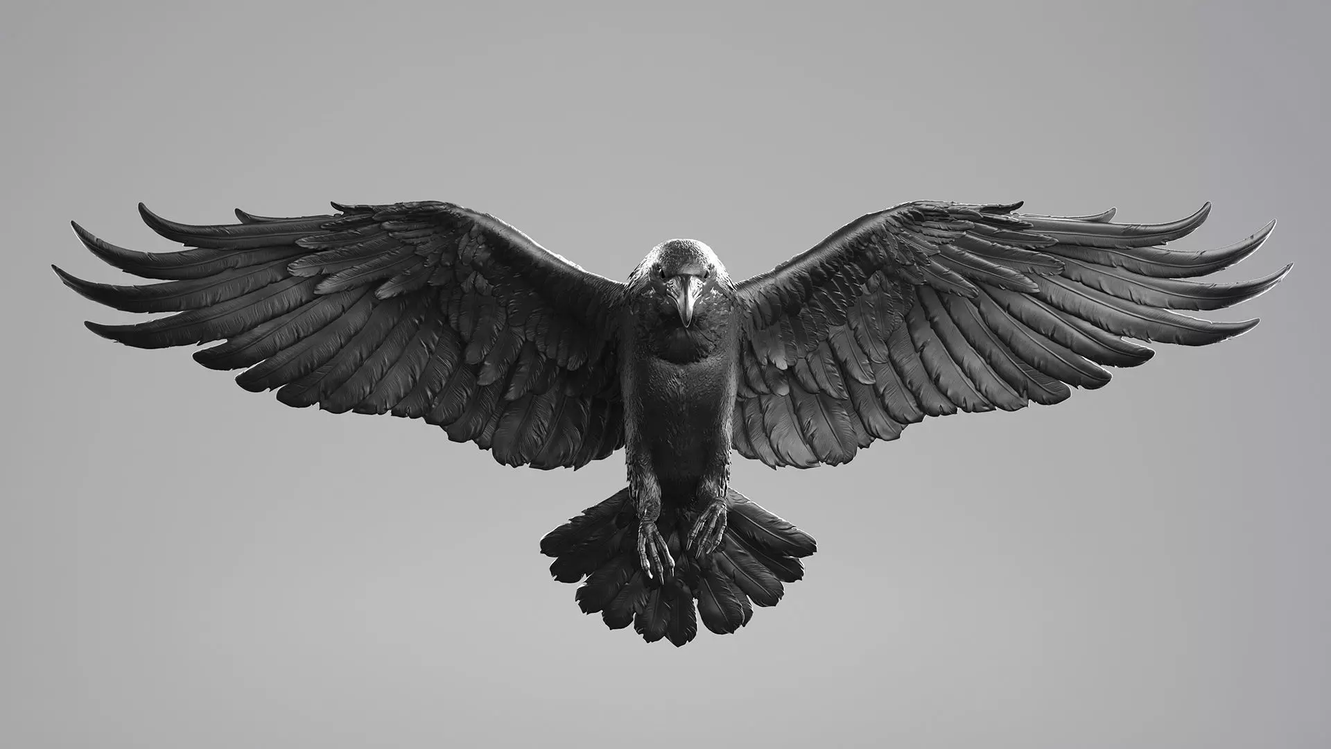 Crow Fly - 3D Sculpting 3D print model_19