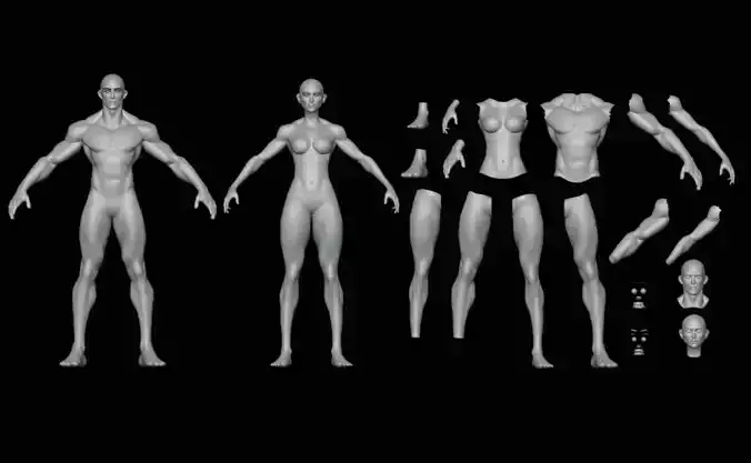 Realistic character man woman Base mesh  Low poly 3D model