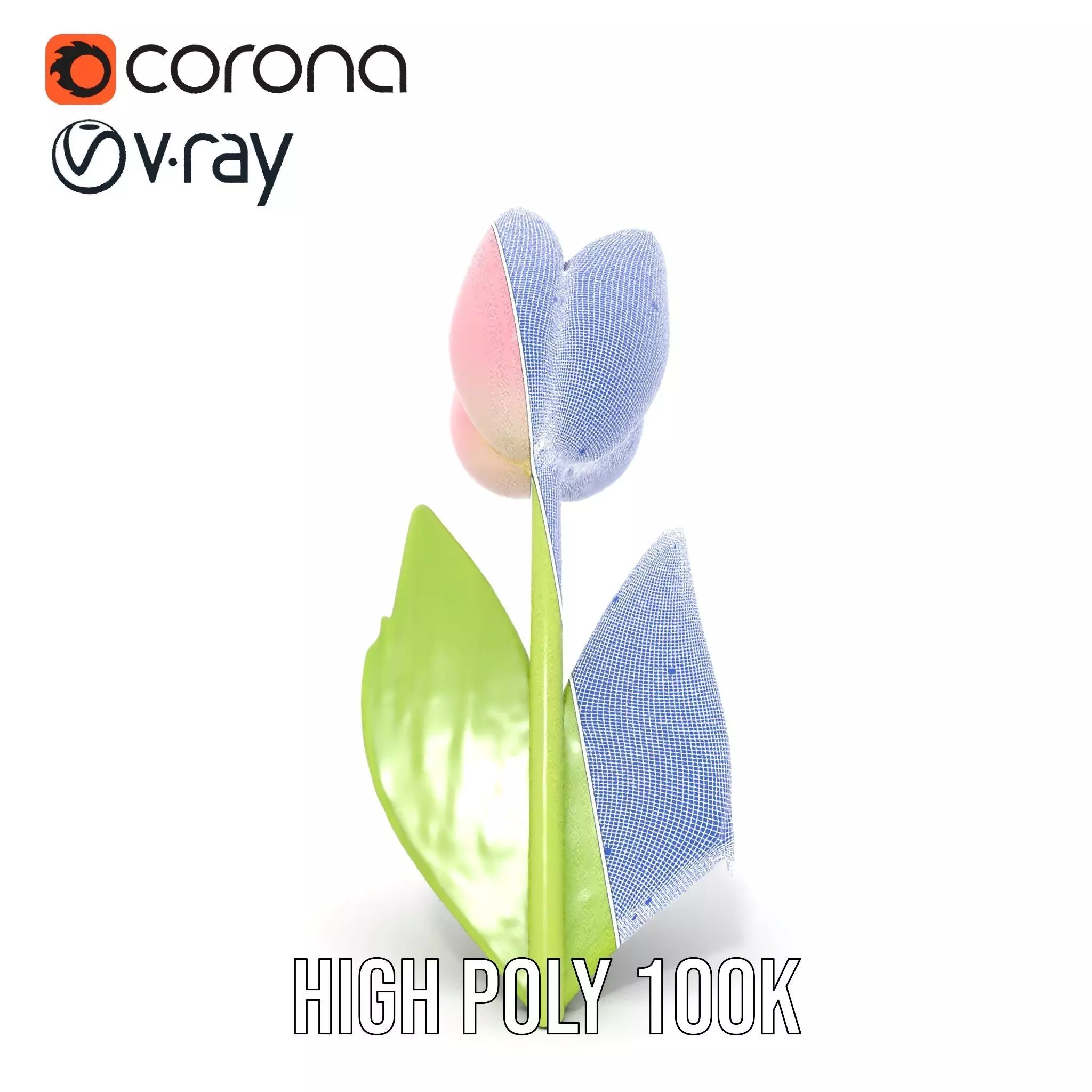 Pink Tulip model pack Low-poly 3D model_35