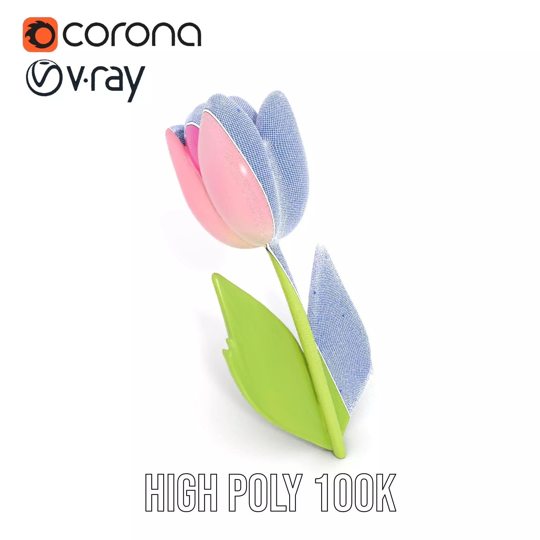 Pink Tulip model pack Low-poly 3D model_16