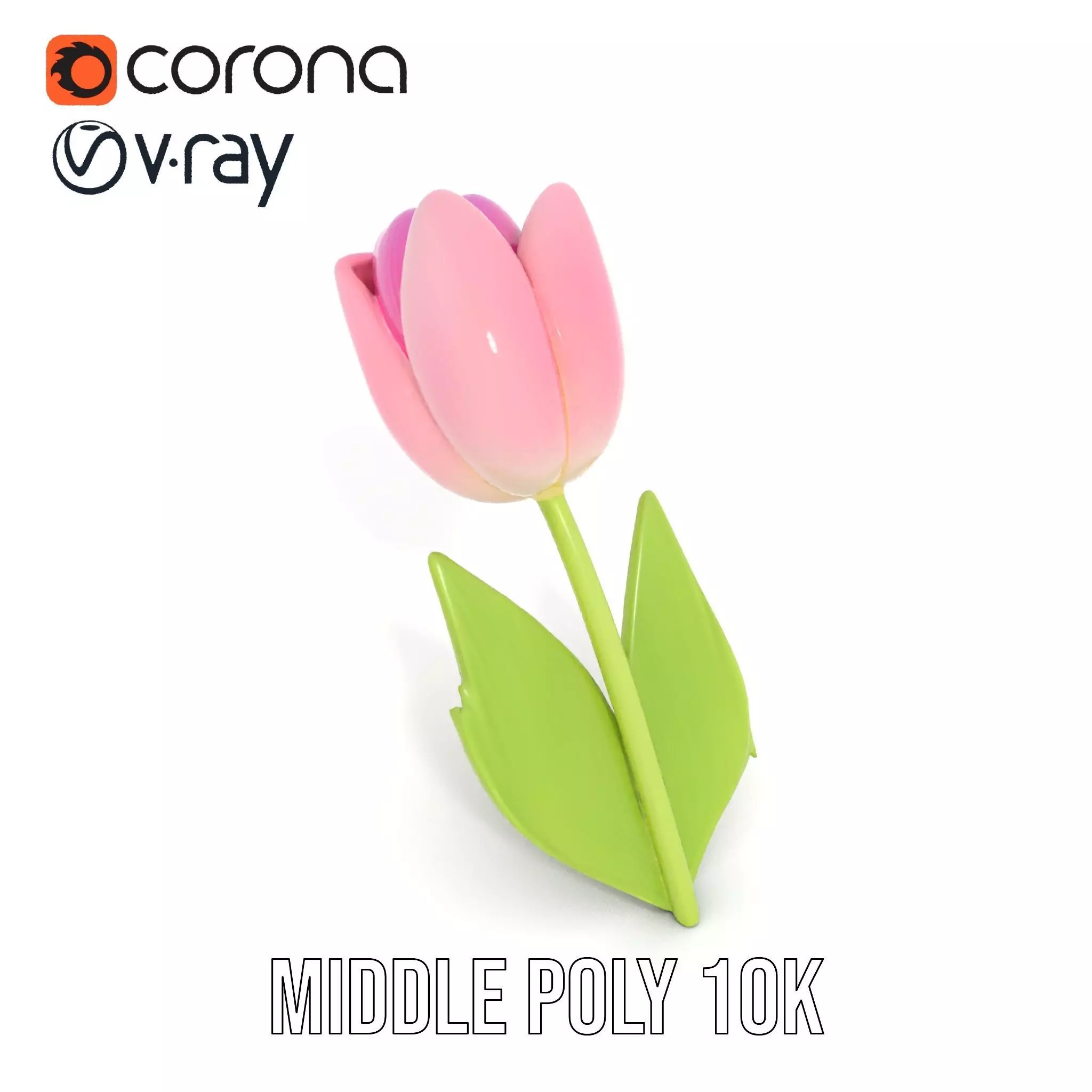 Pink Tulip model pack Low-poly 3D model_6