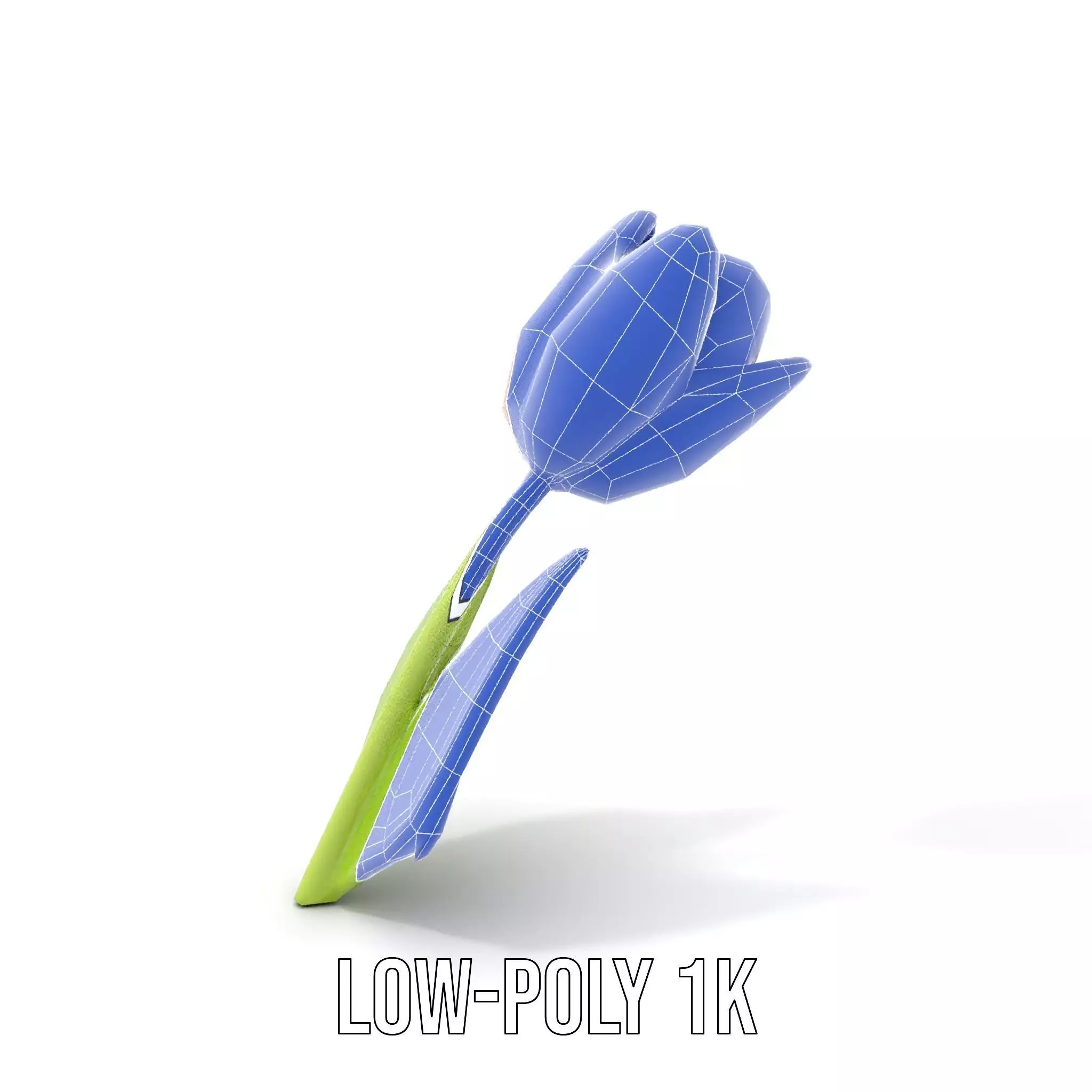 Pink Tulip model pack Low-poly 3D model_31
