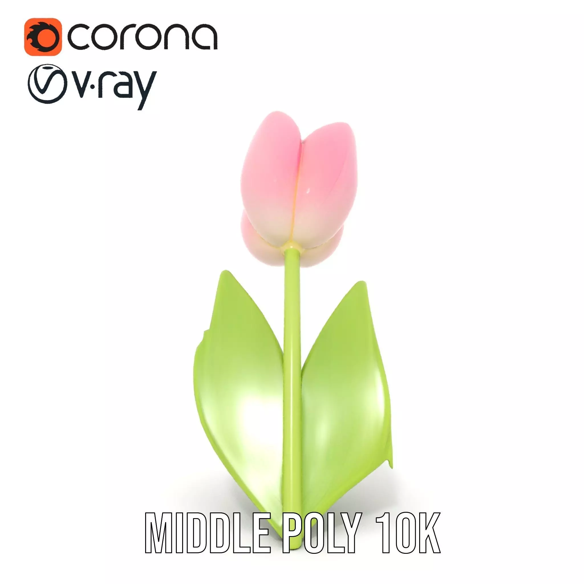 Pink Tulip model pack Low-poly 3D model_14