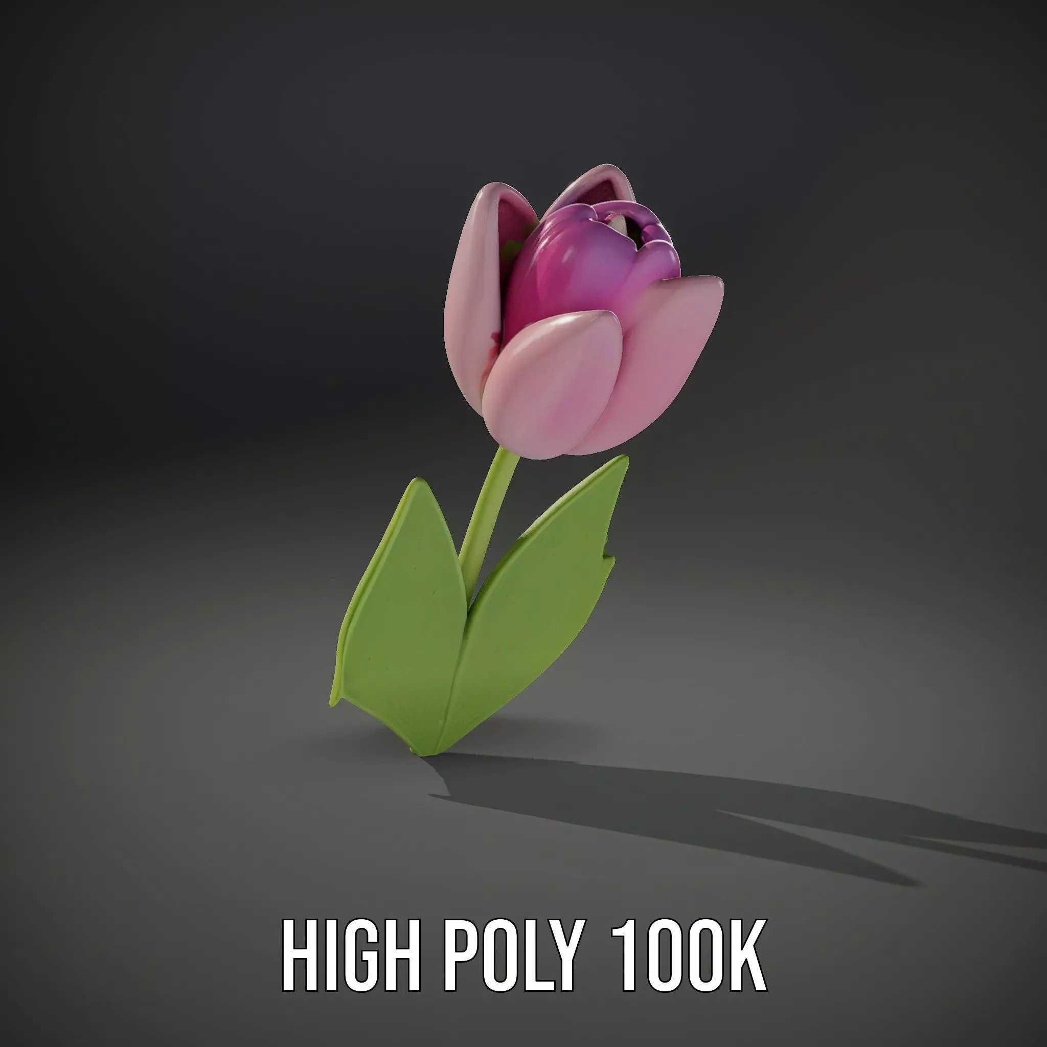 Pink Tulip model pack Low-poly 3D model_11