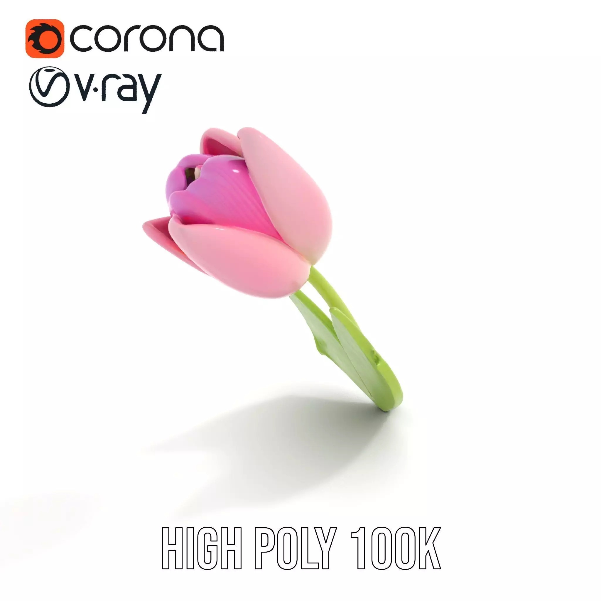 Pink Tulip model pack Low-poly 3D model_29