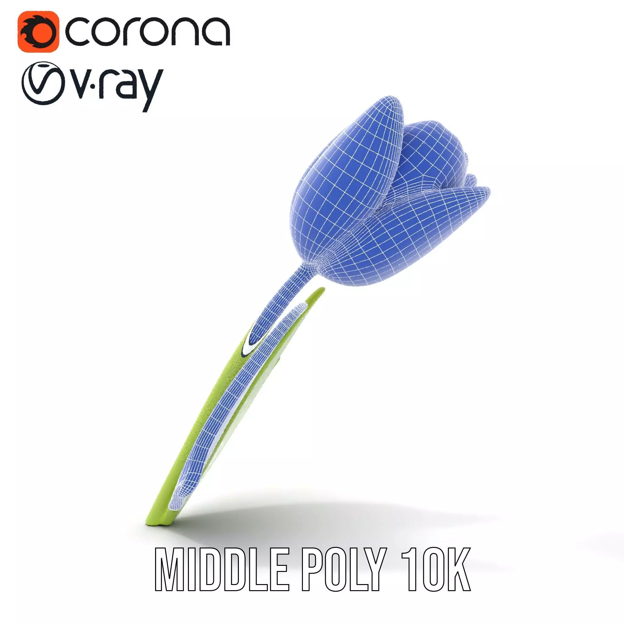 Pink Tulip model pack Low-poly 3D model_22