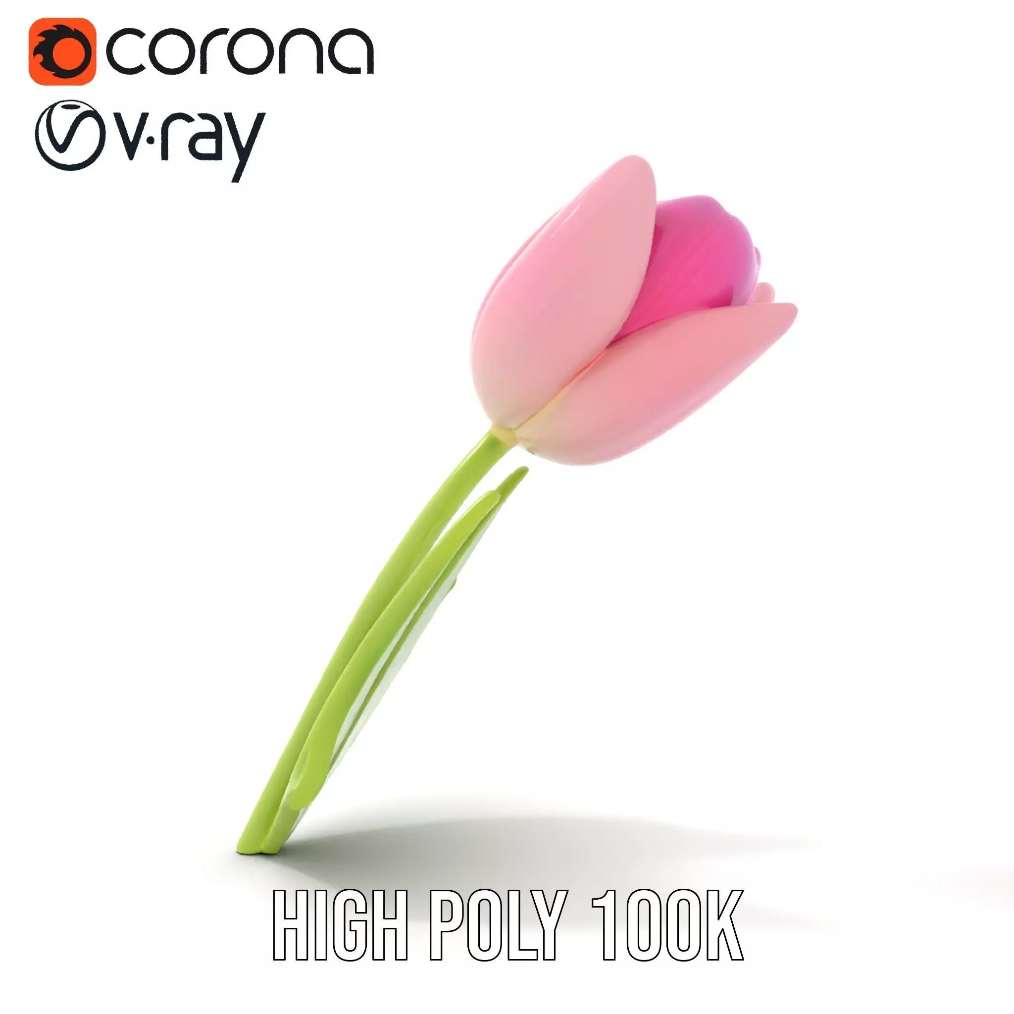 Pink Tulip model pack Low-poly 3D model_19