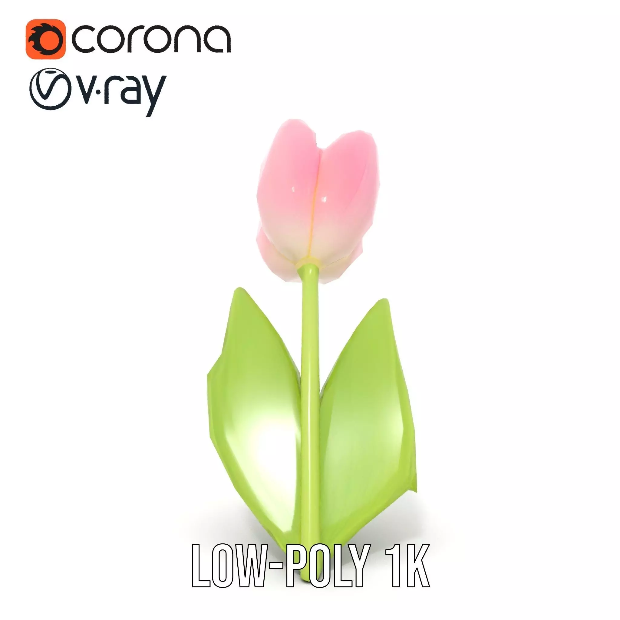 Pink Tulip model pack Low-poly 3D model_23