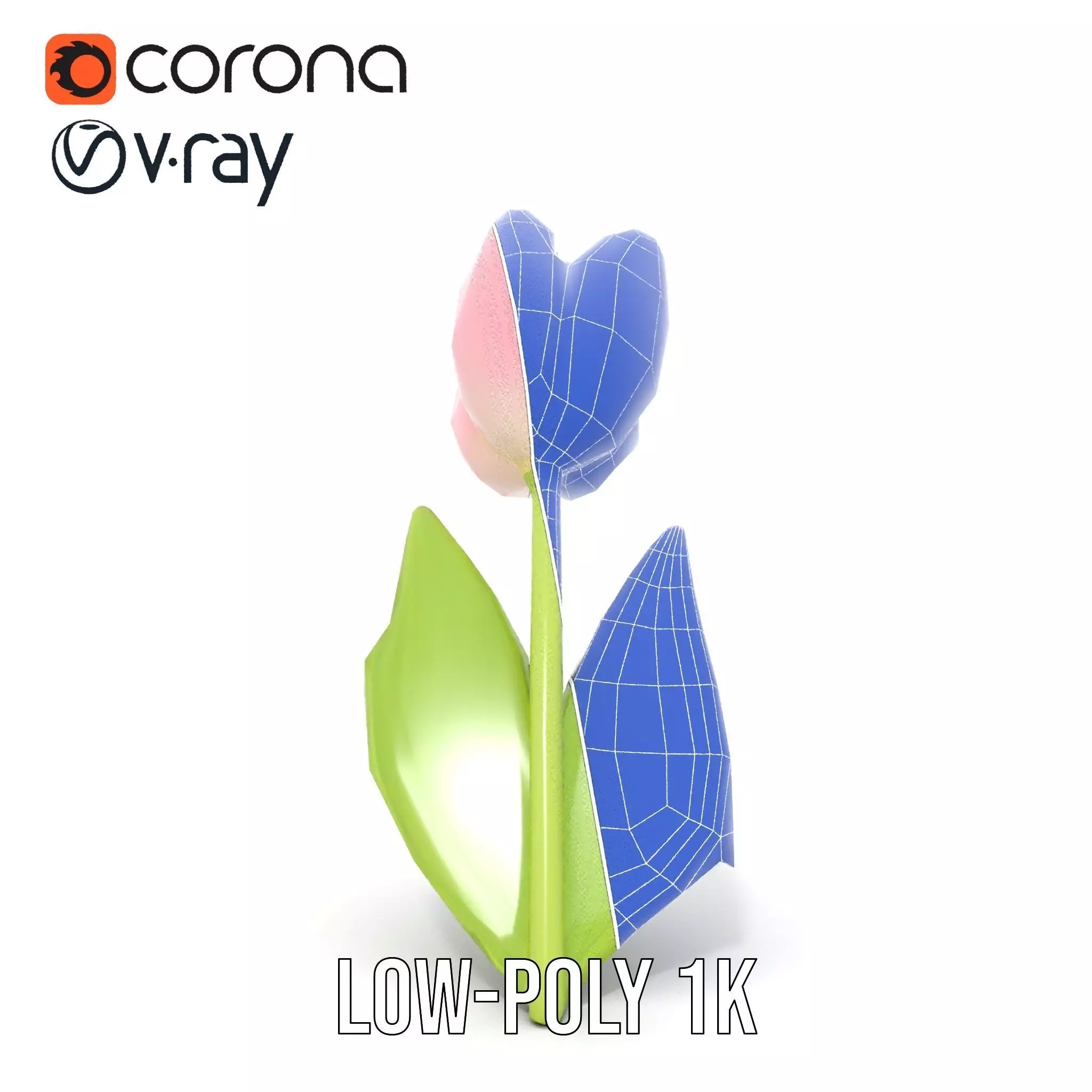 Pink Tulip model pack Low-poly 3D model_15