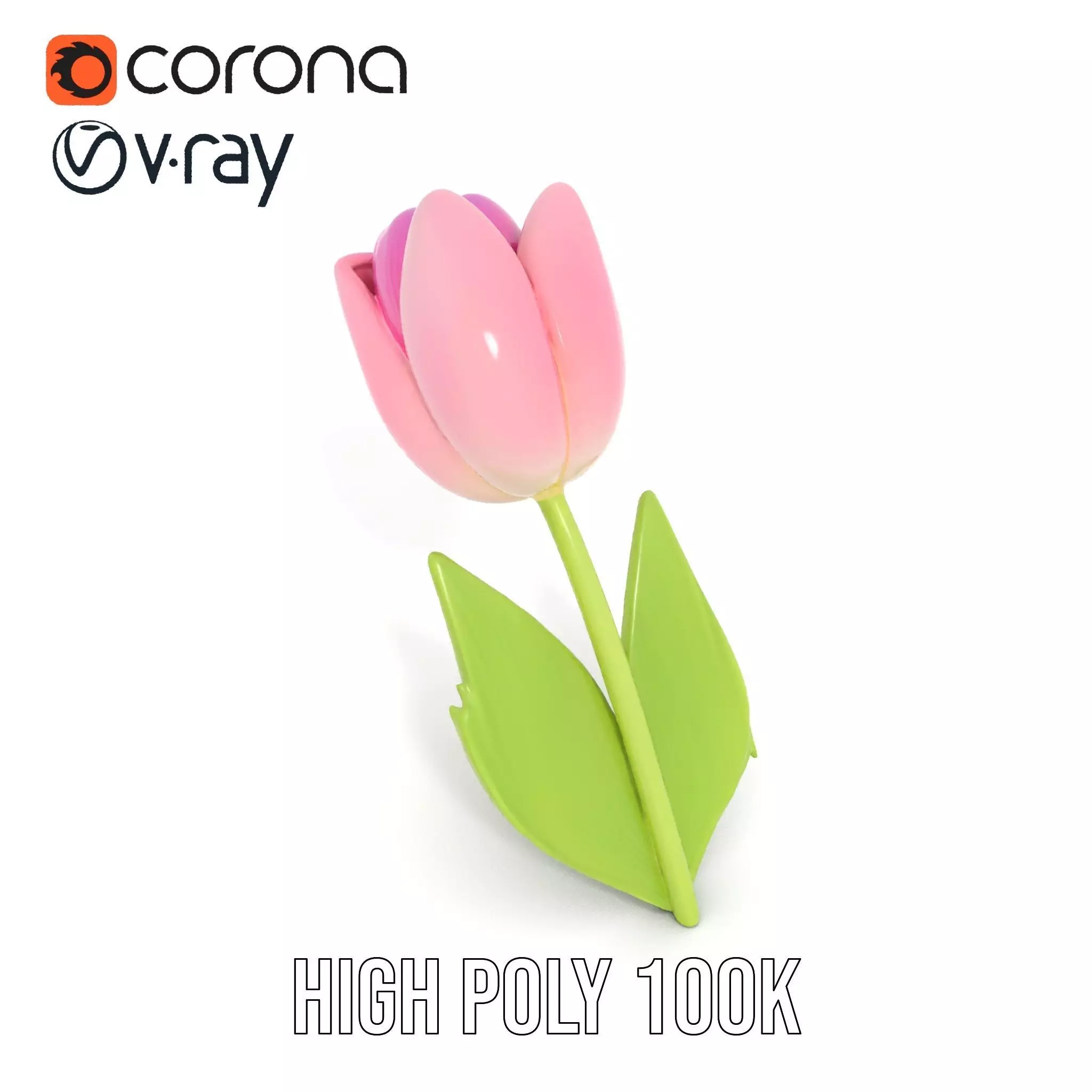 Pink Tulip model pack Low-poly 3D model_33