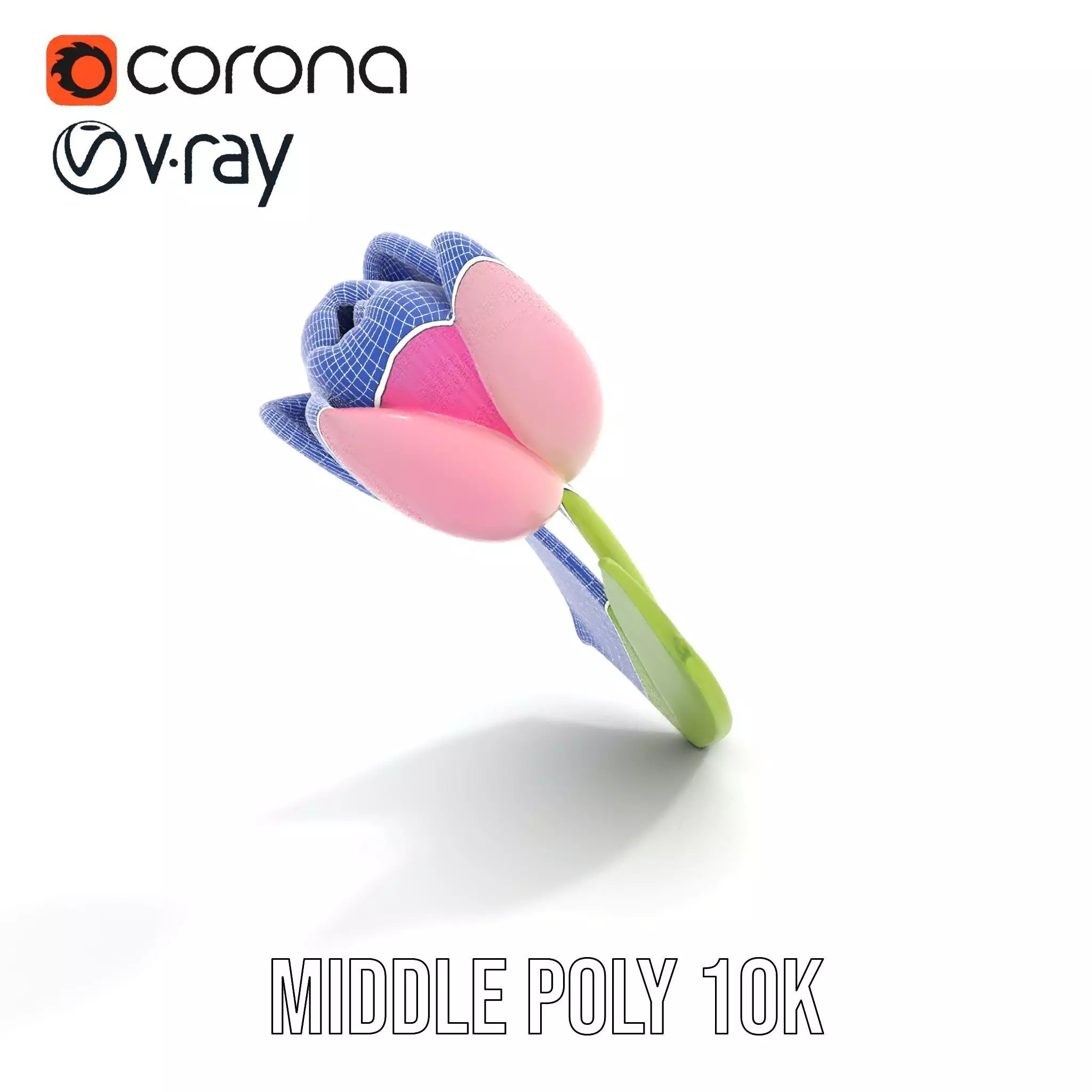 Pink Tulip model pack Low-poly 3D model_25