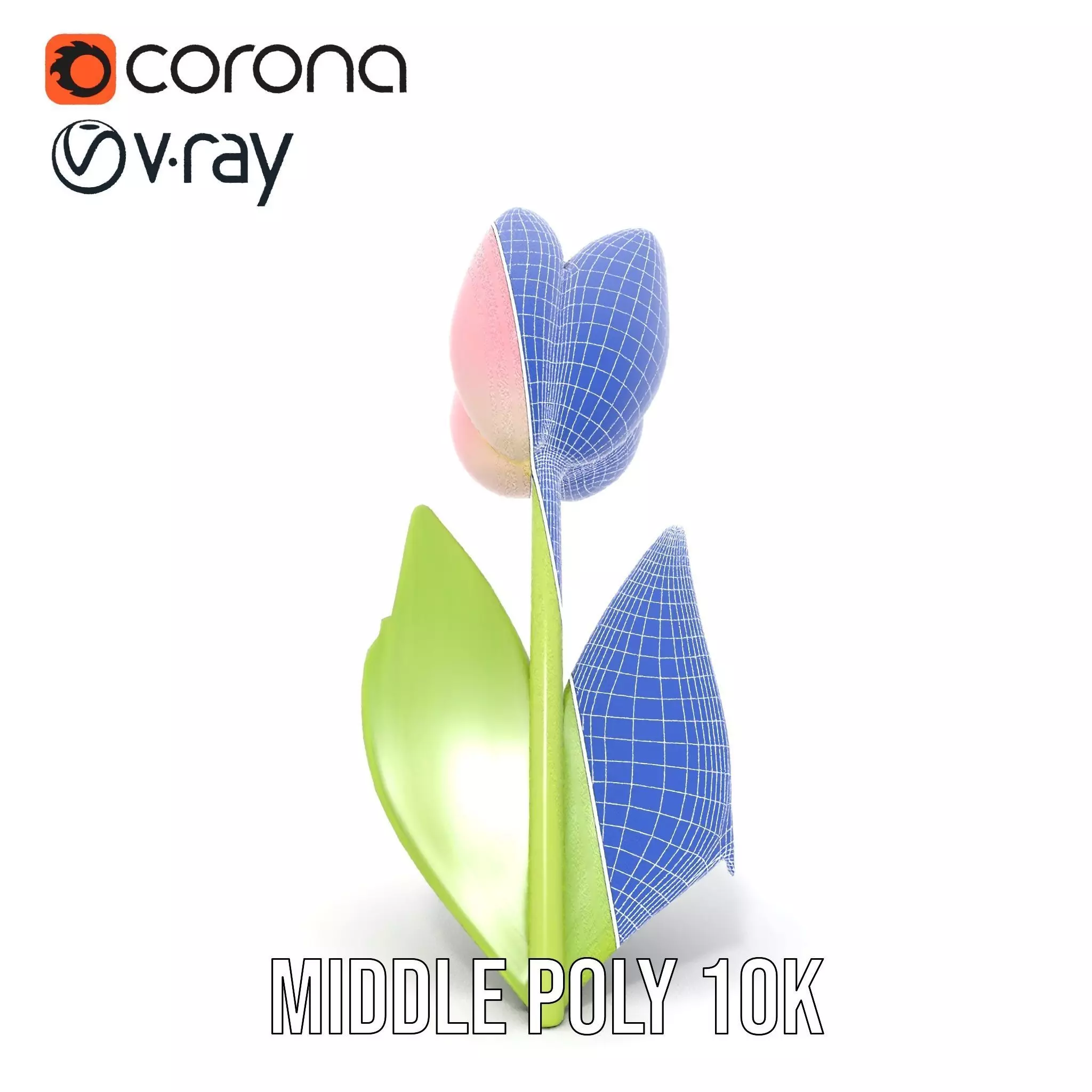 Pink Tulip model pack Low-poly 3D model_30