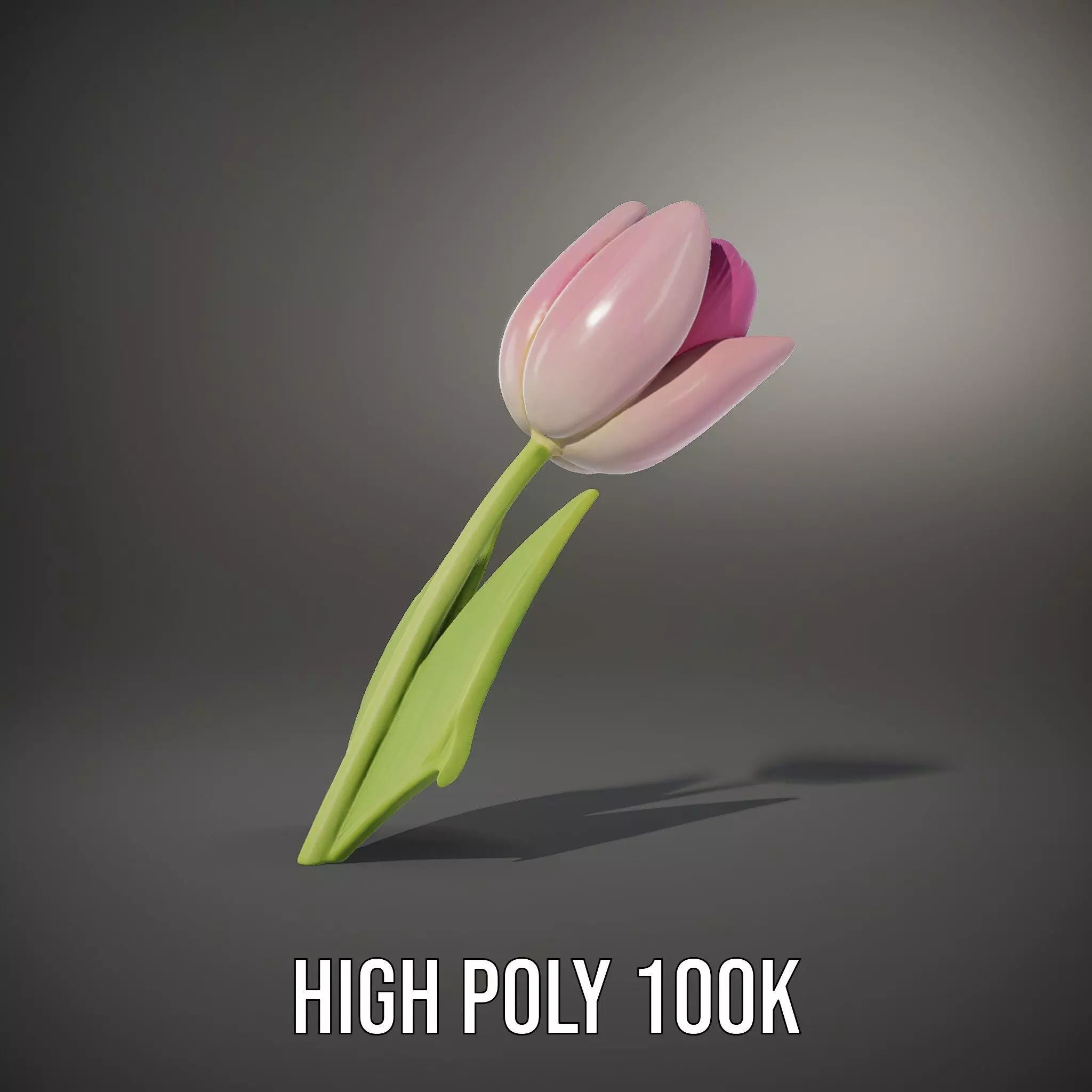 Pink Tulip model pack Low-poly 3D model_9