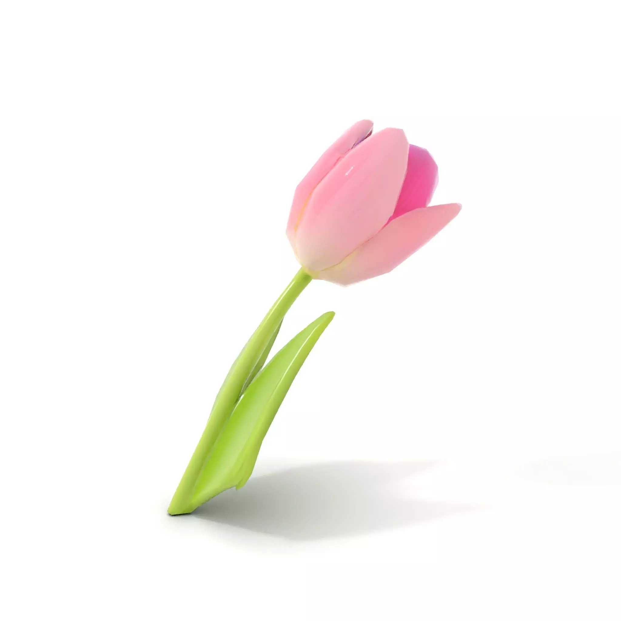 Pink Tulip model pack Low-poly 3D model_18