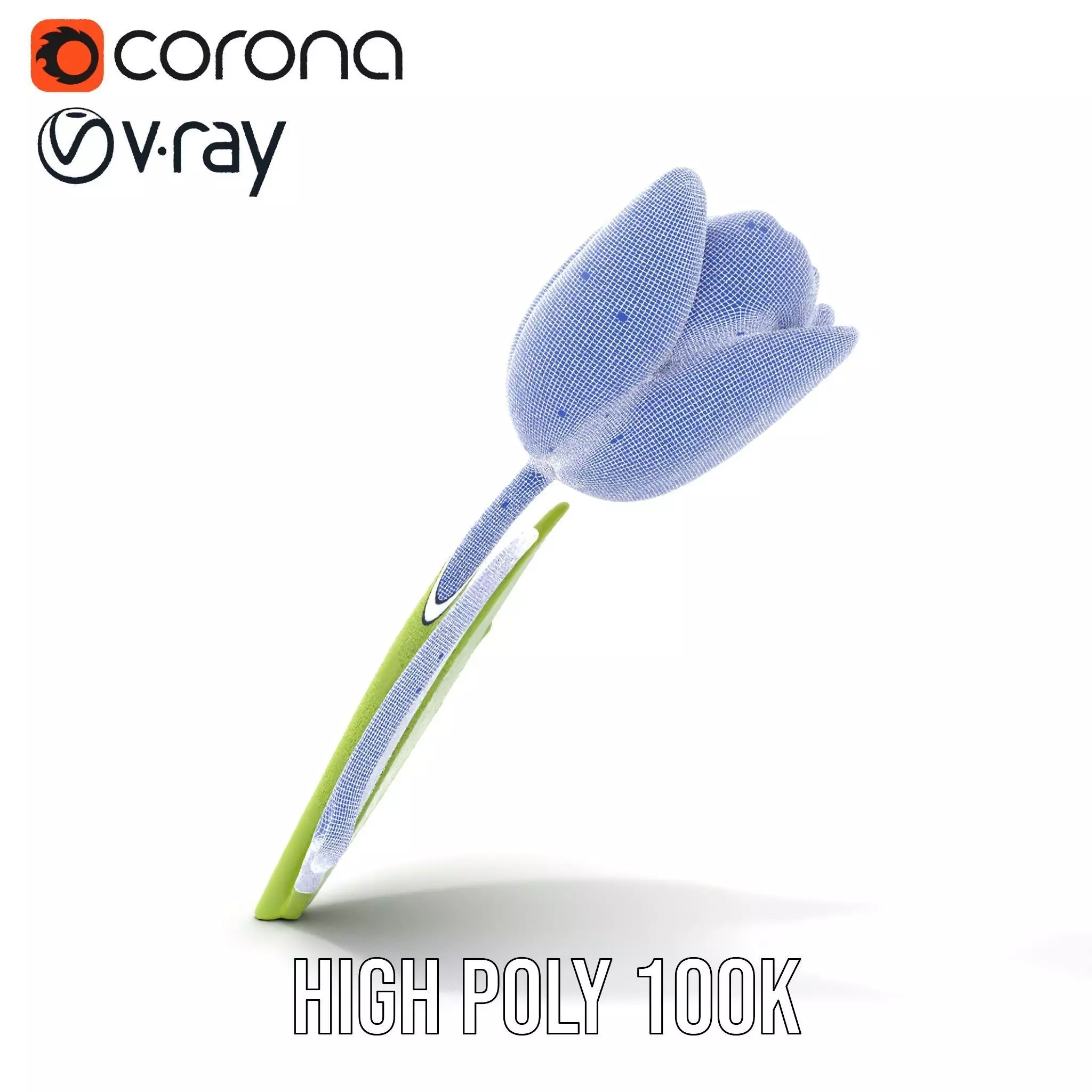 Pink Tulip model pack Low-poly 3D model_34