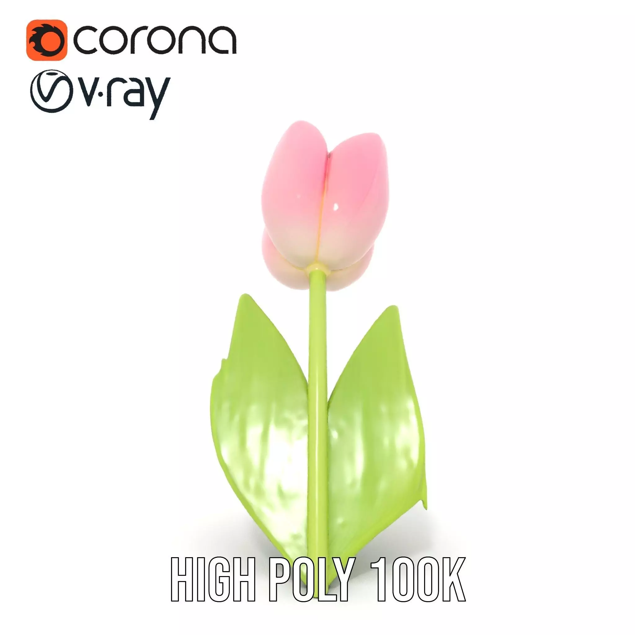 Pink Tulip model pack Low-poly 3D model_24